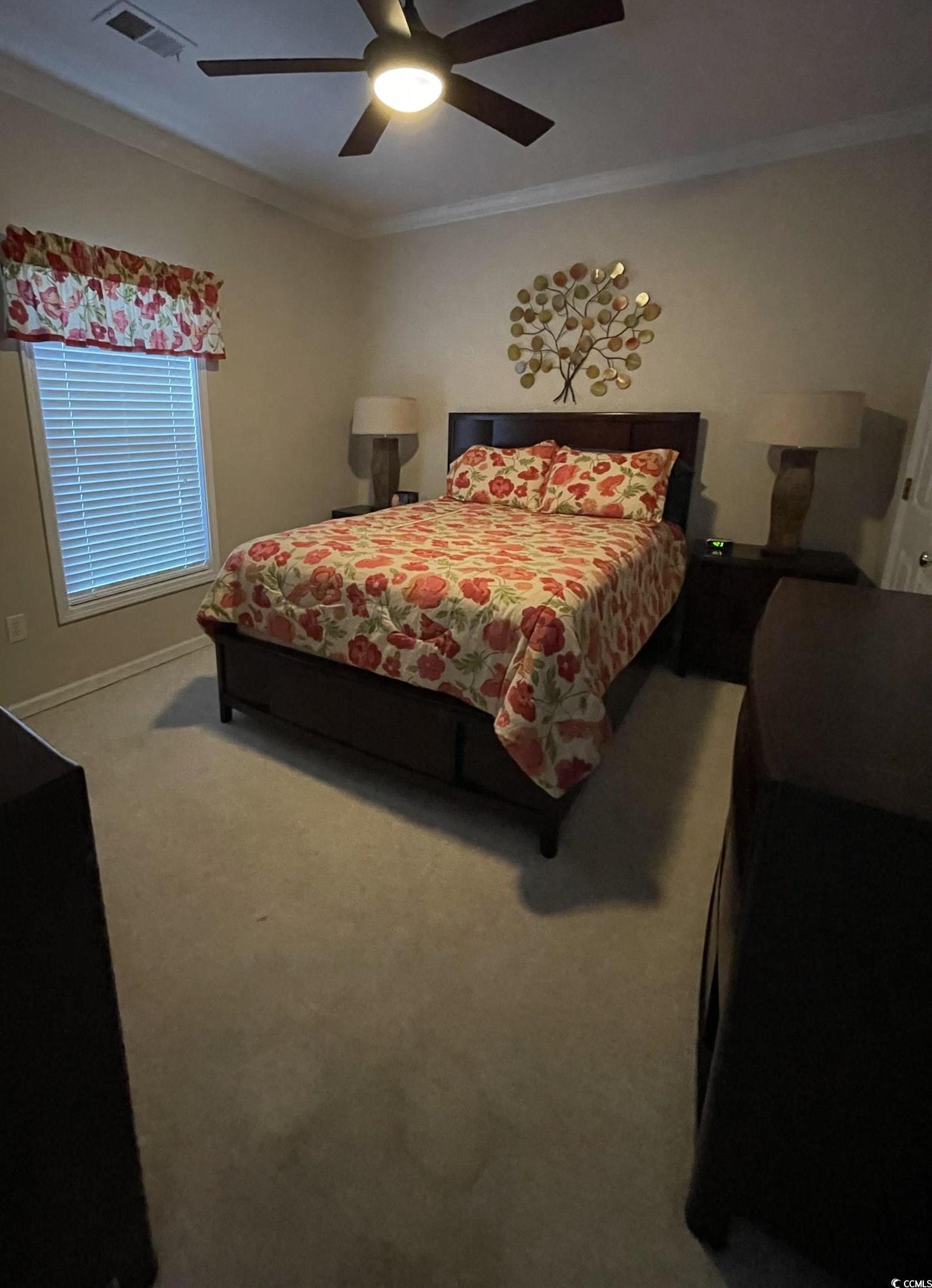 Photo #24