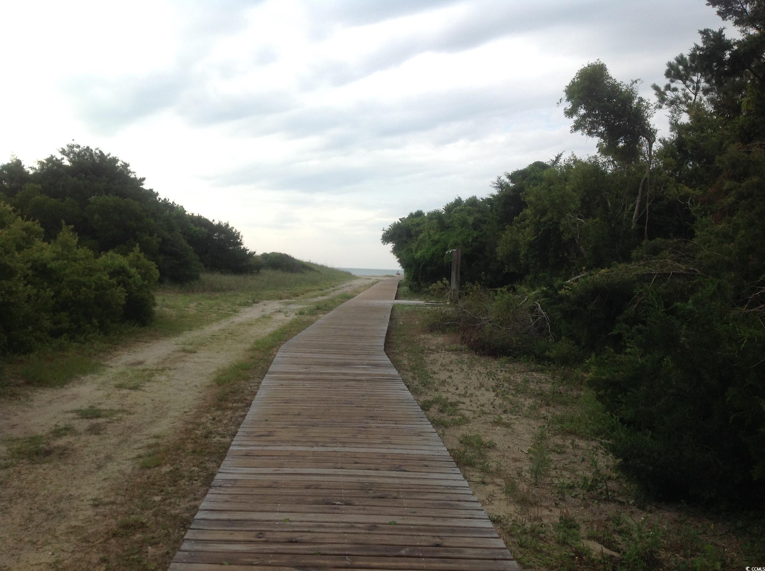 Photo #36