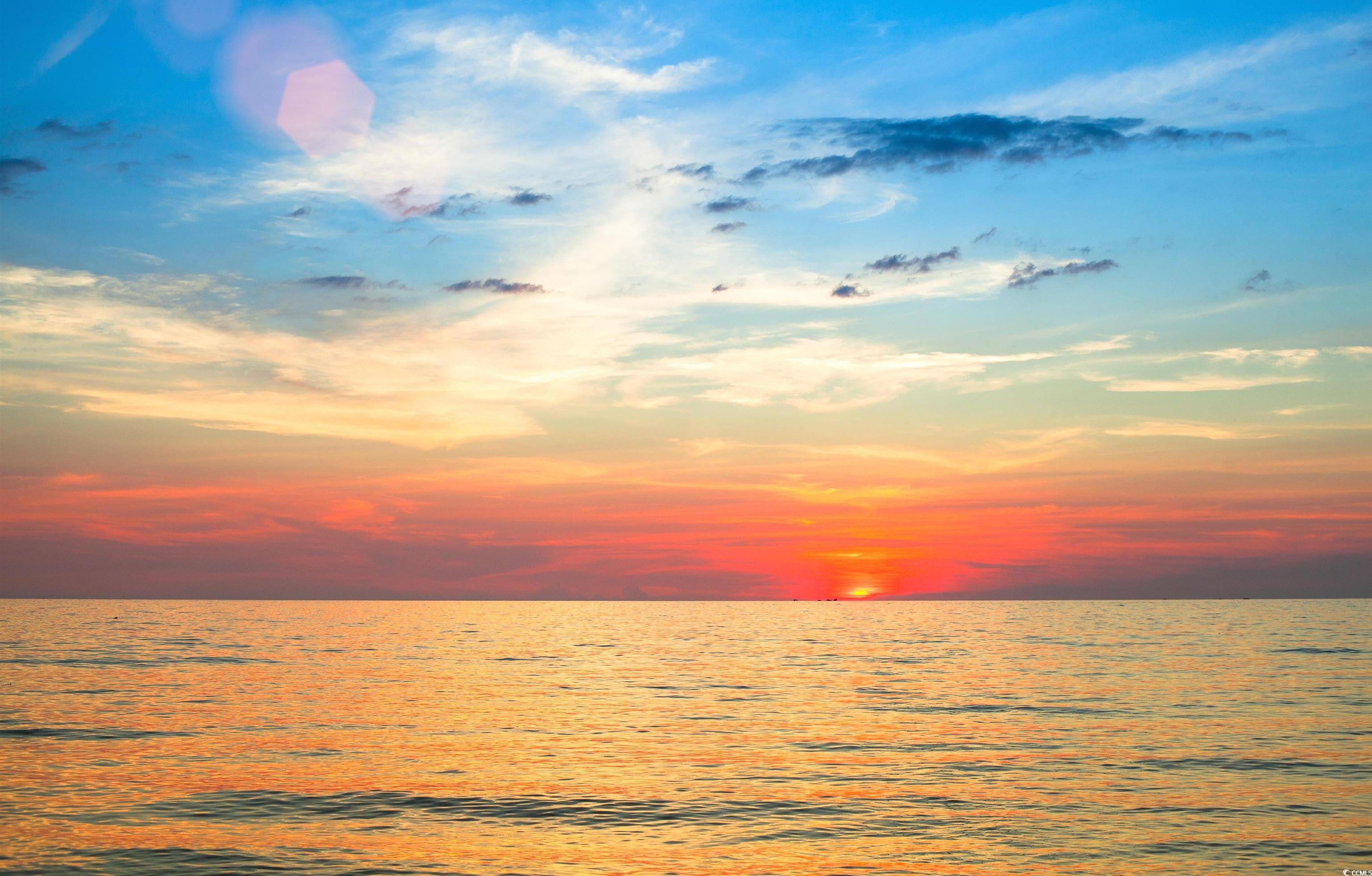 Photo #38