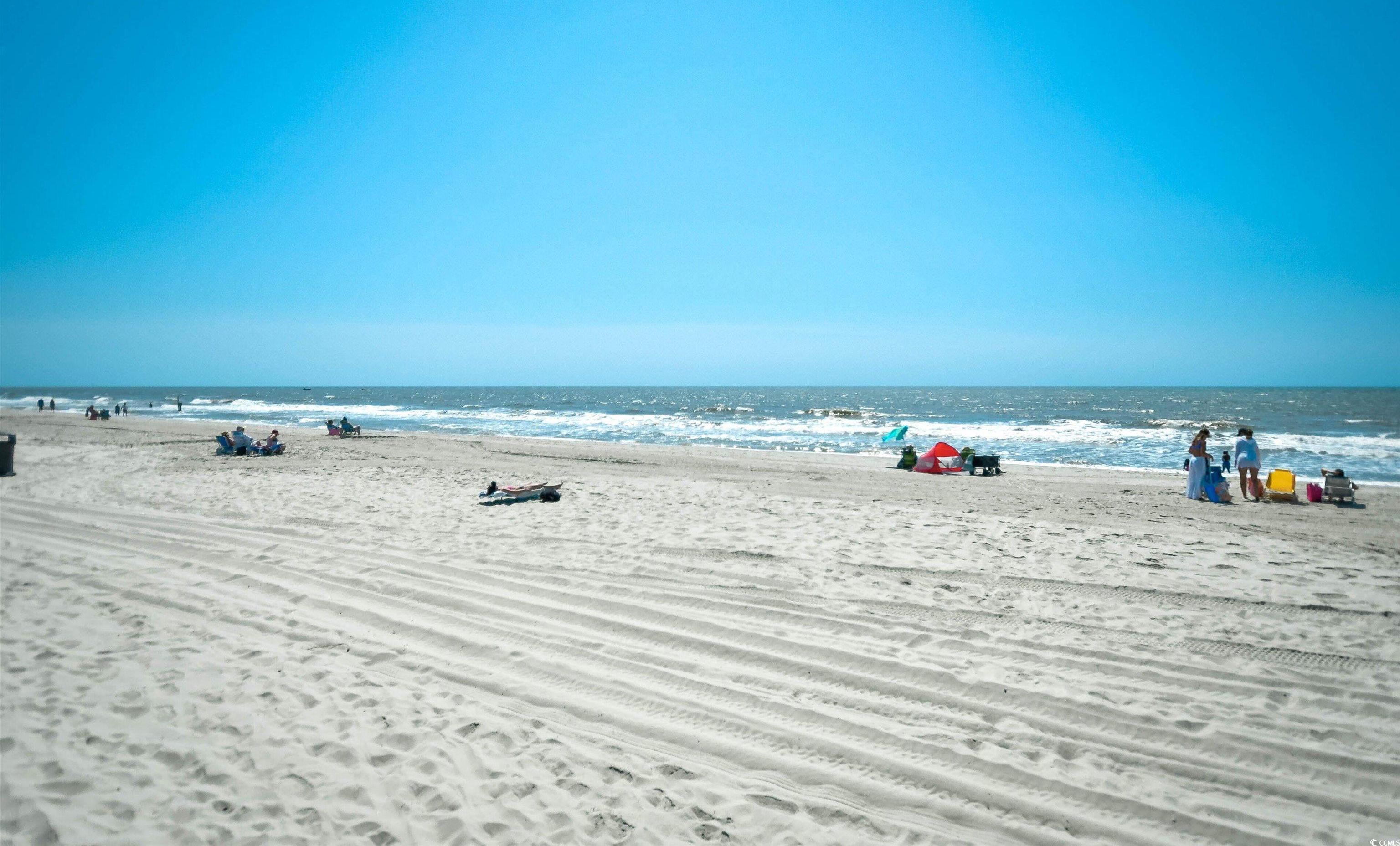 Photo #31