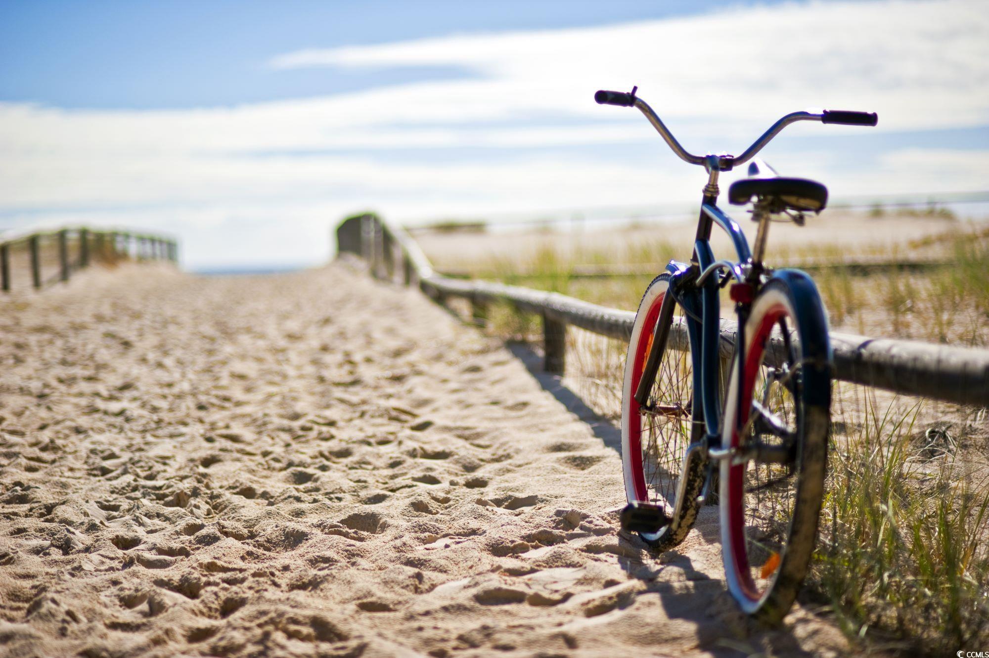 Photo #28