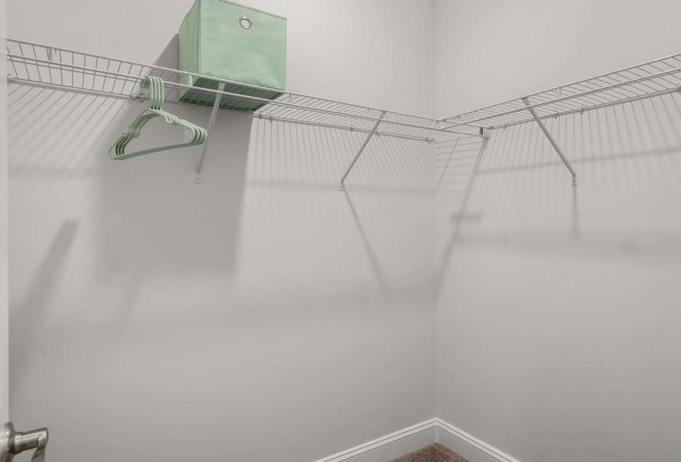 Photo #19