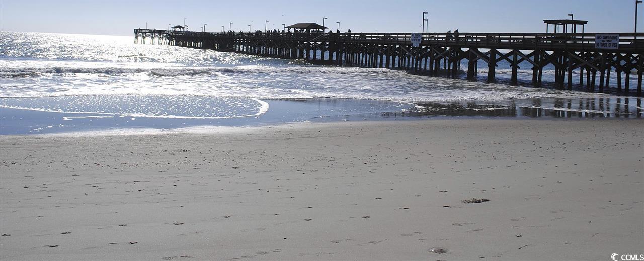 Photo #20