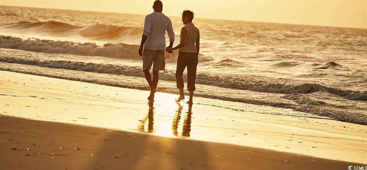 Photo #31