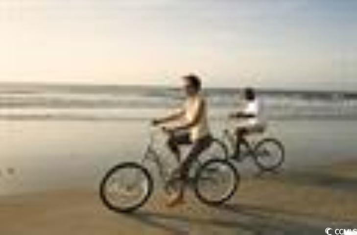 Photo #12