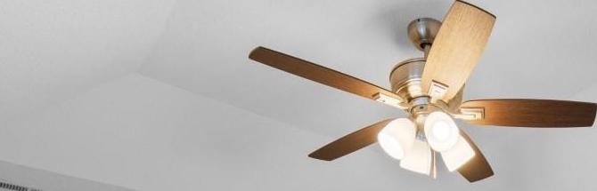 Photo #15