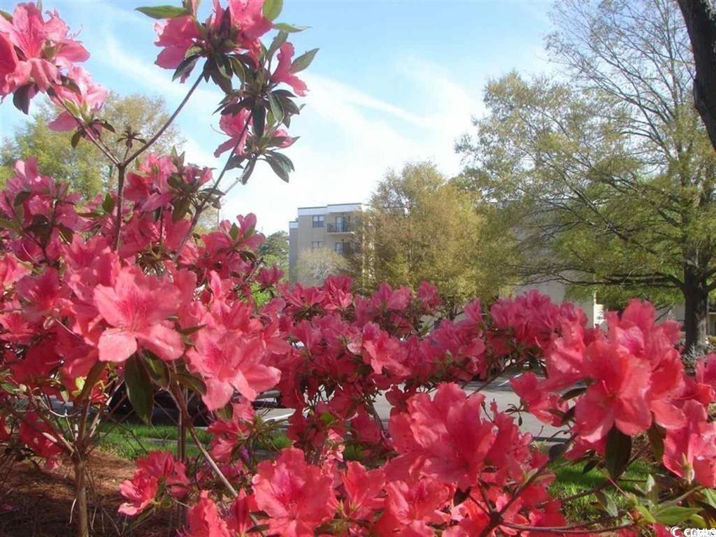 Photo #28