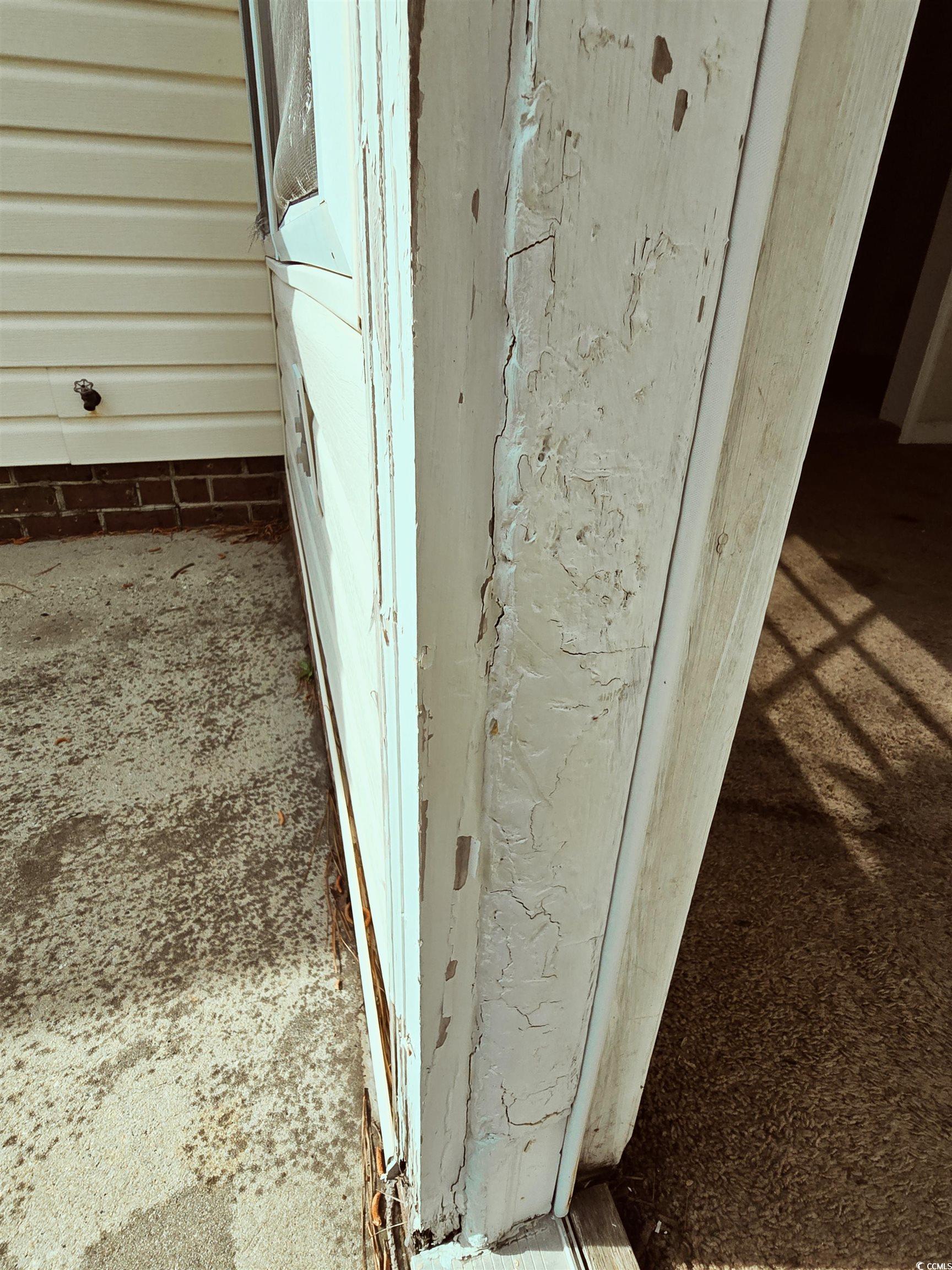 Photo #31
