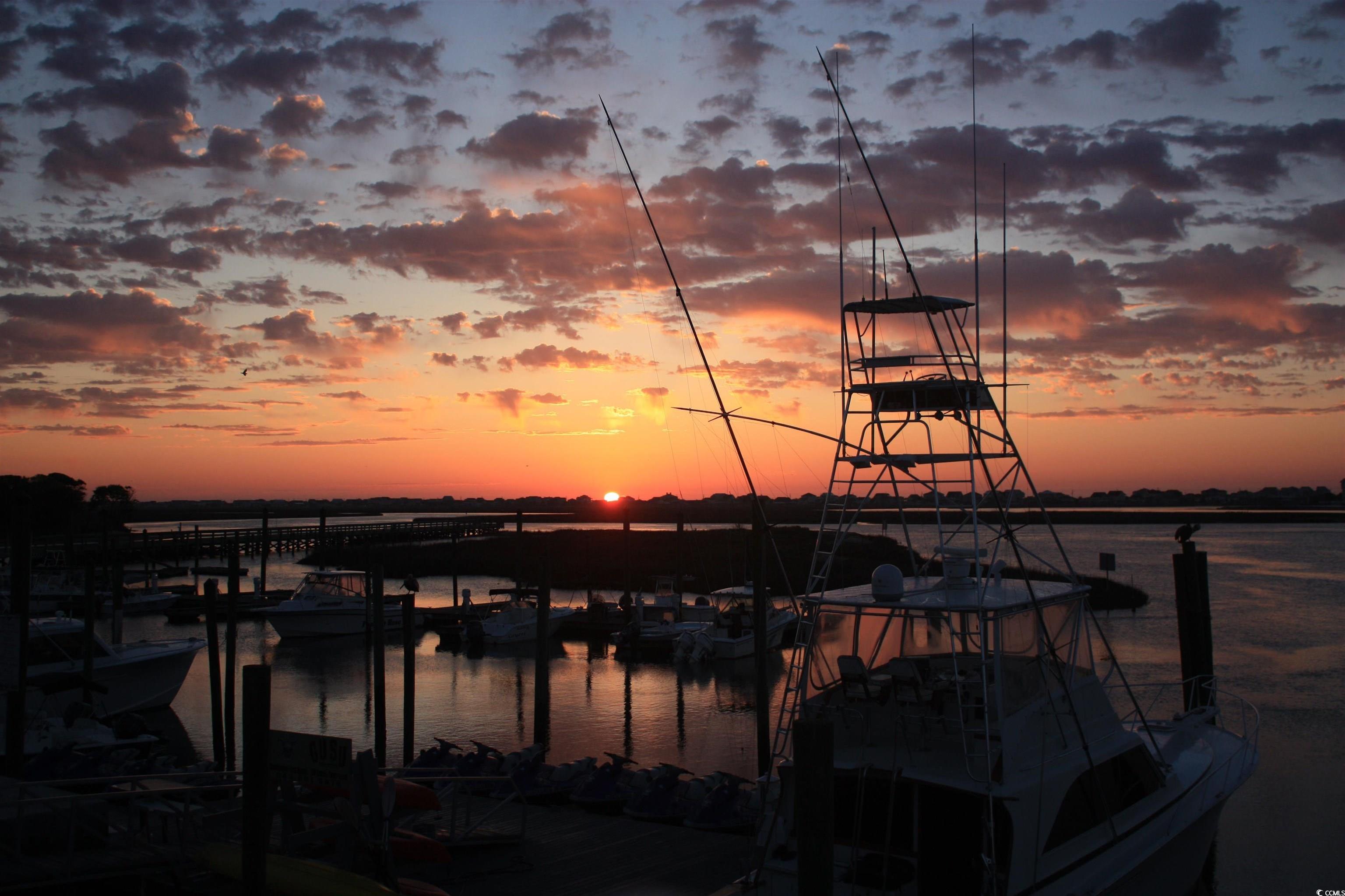 Photo #38