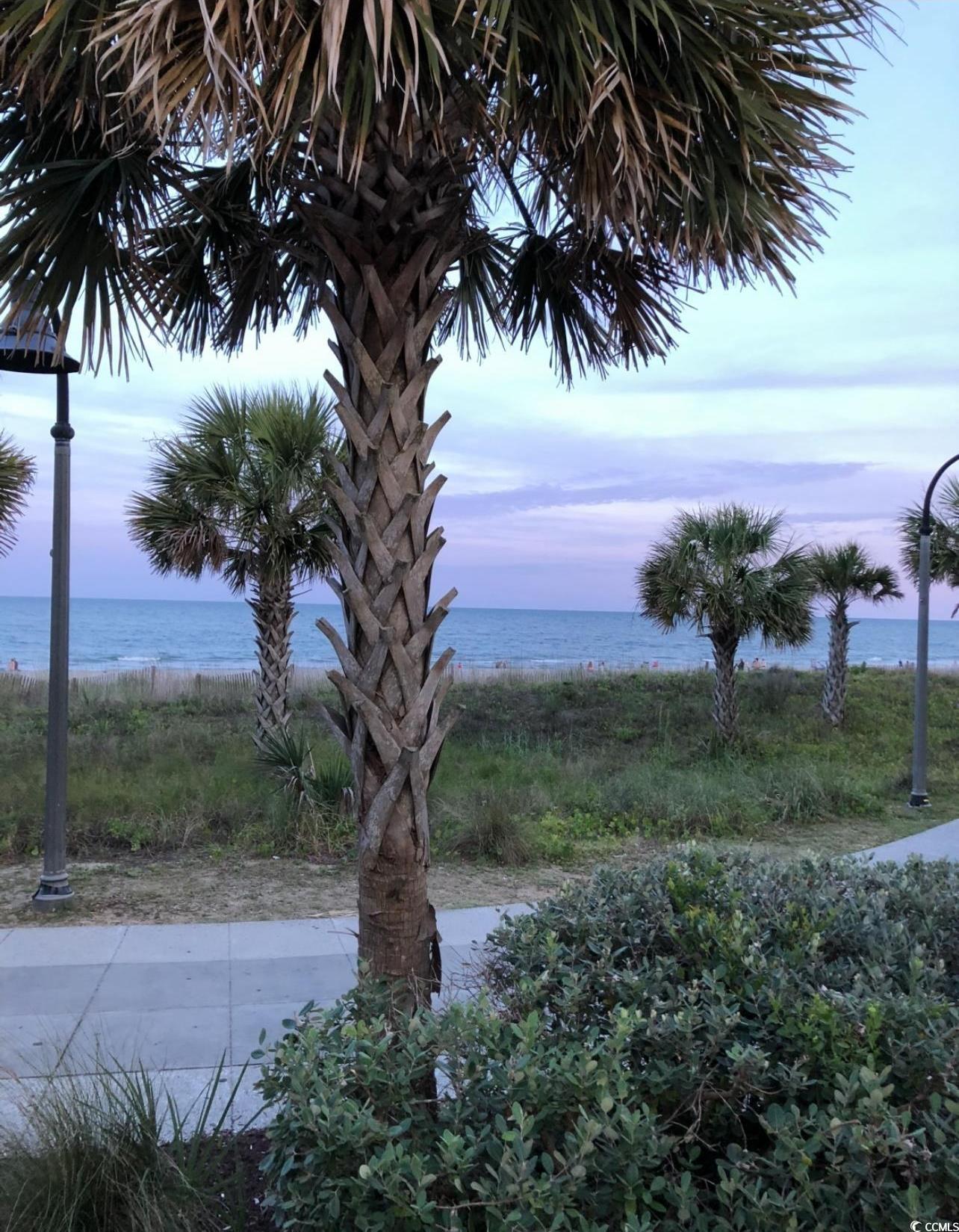 Photo #29