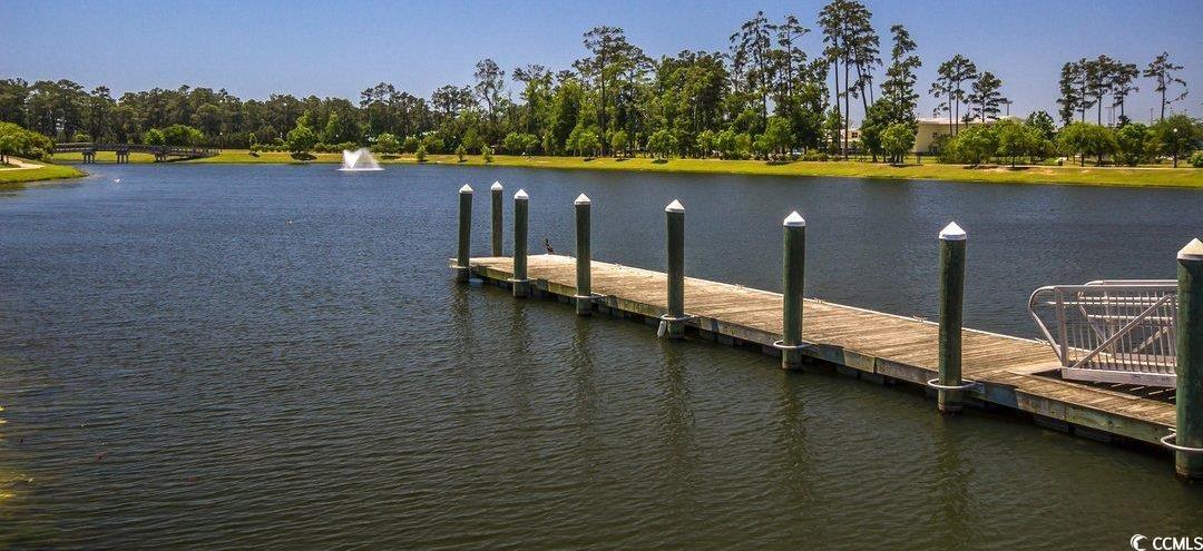 Photo #35