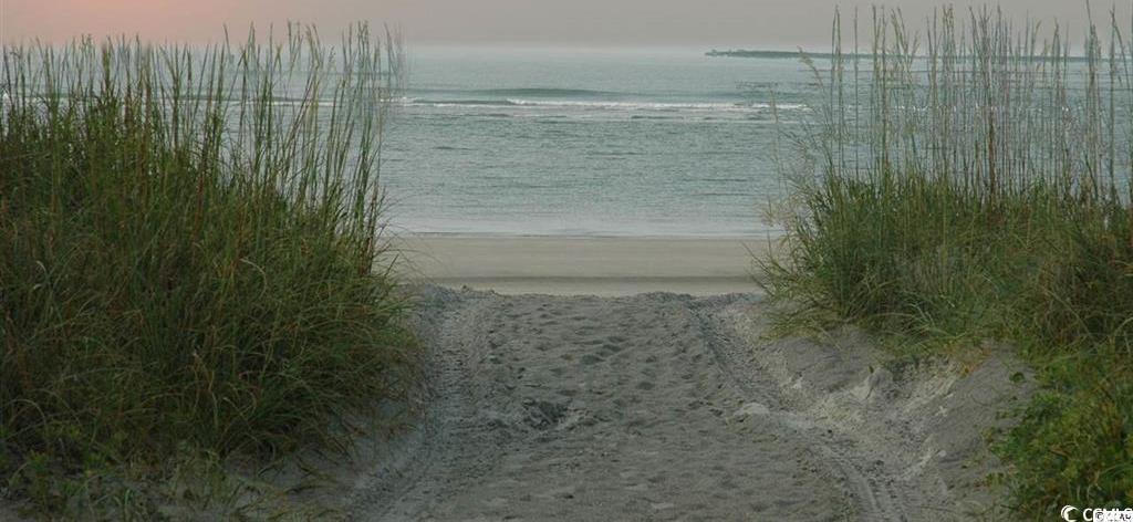 Photo #16