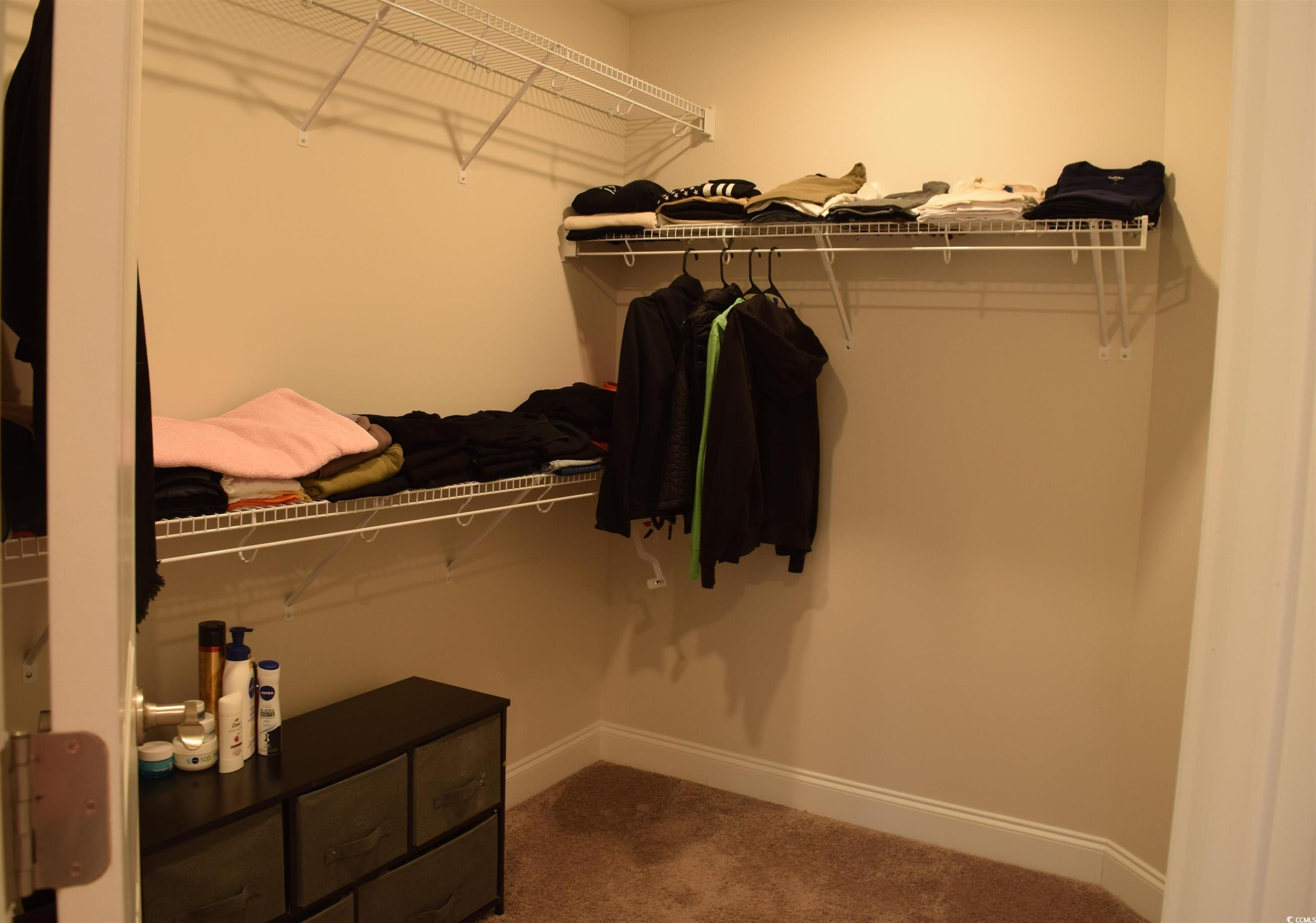 Photo #7