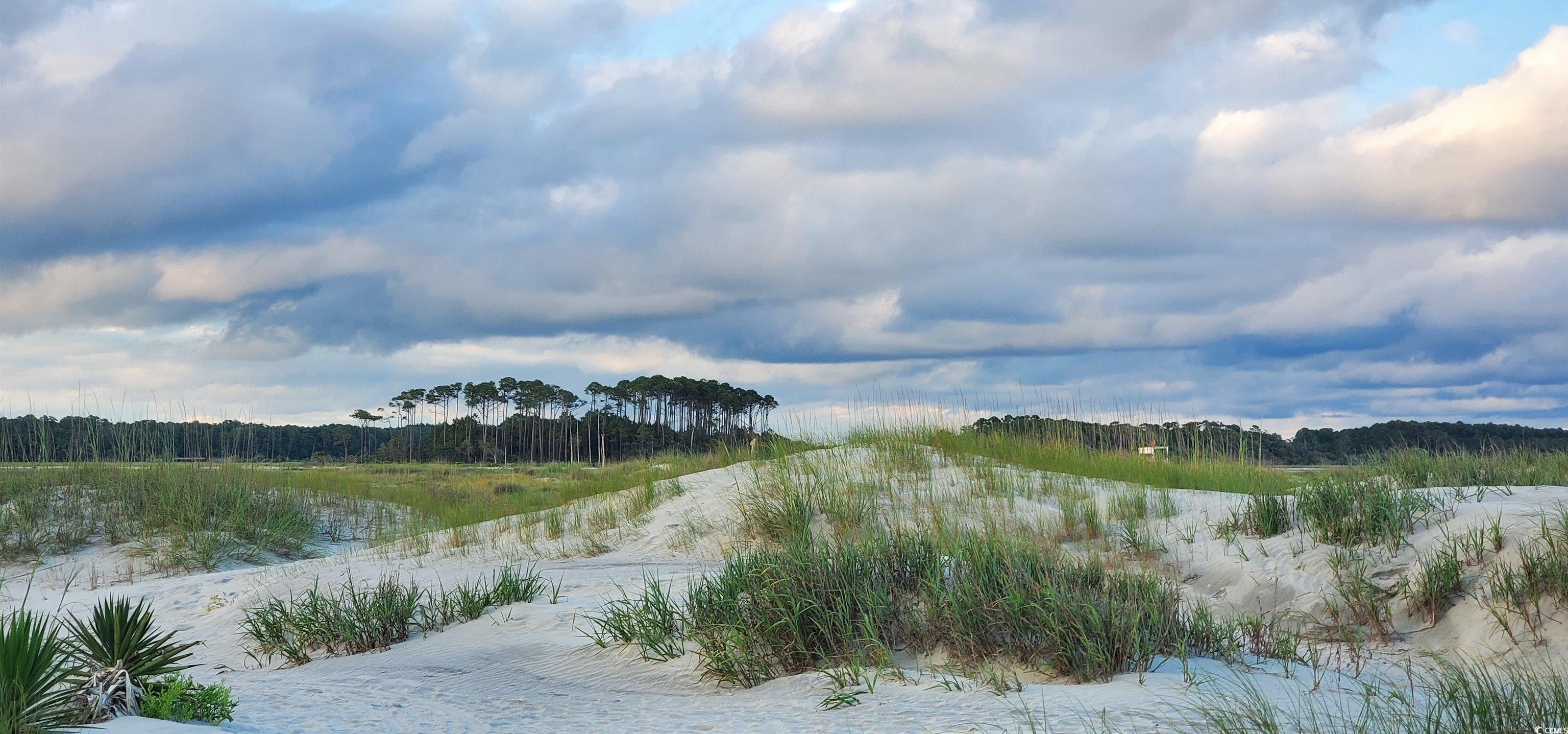 Photo #40