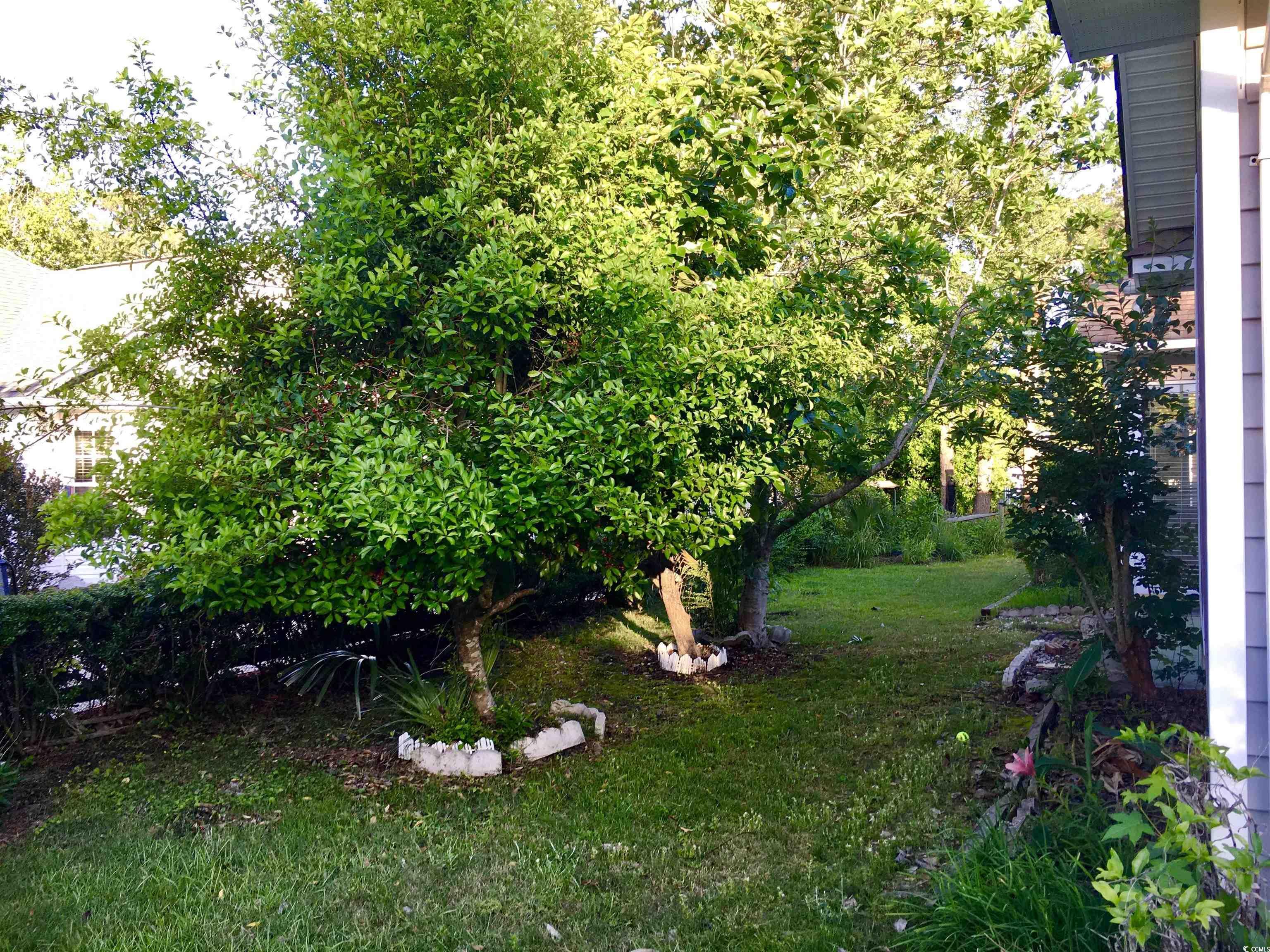 Photo #15