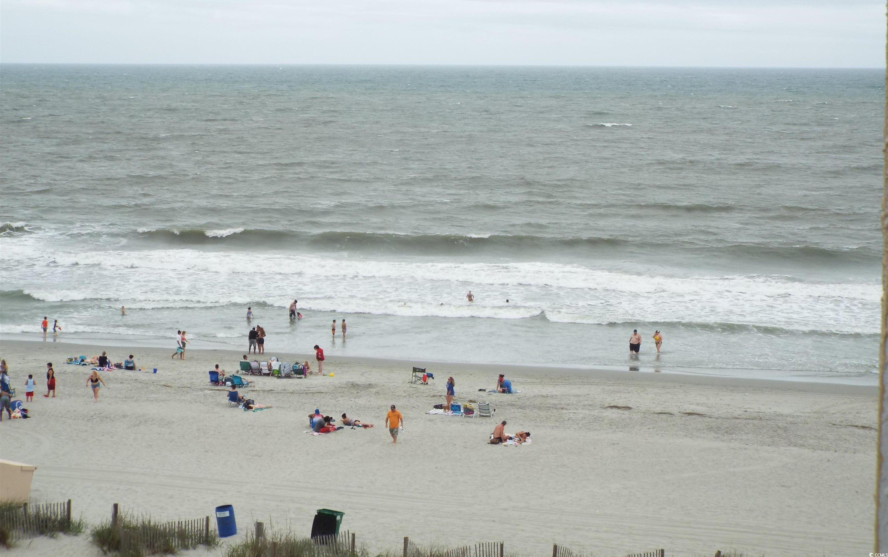 Photo #14