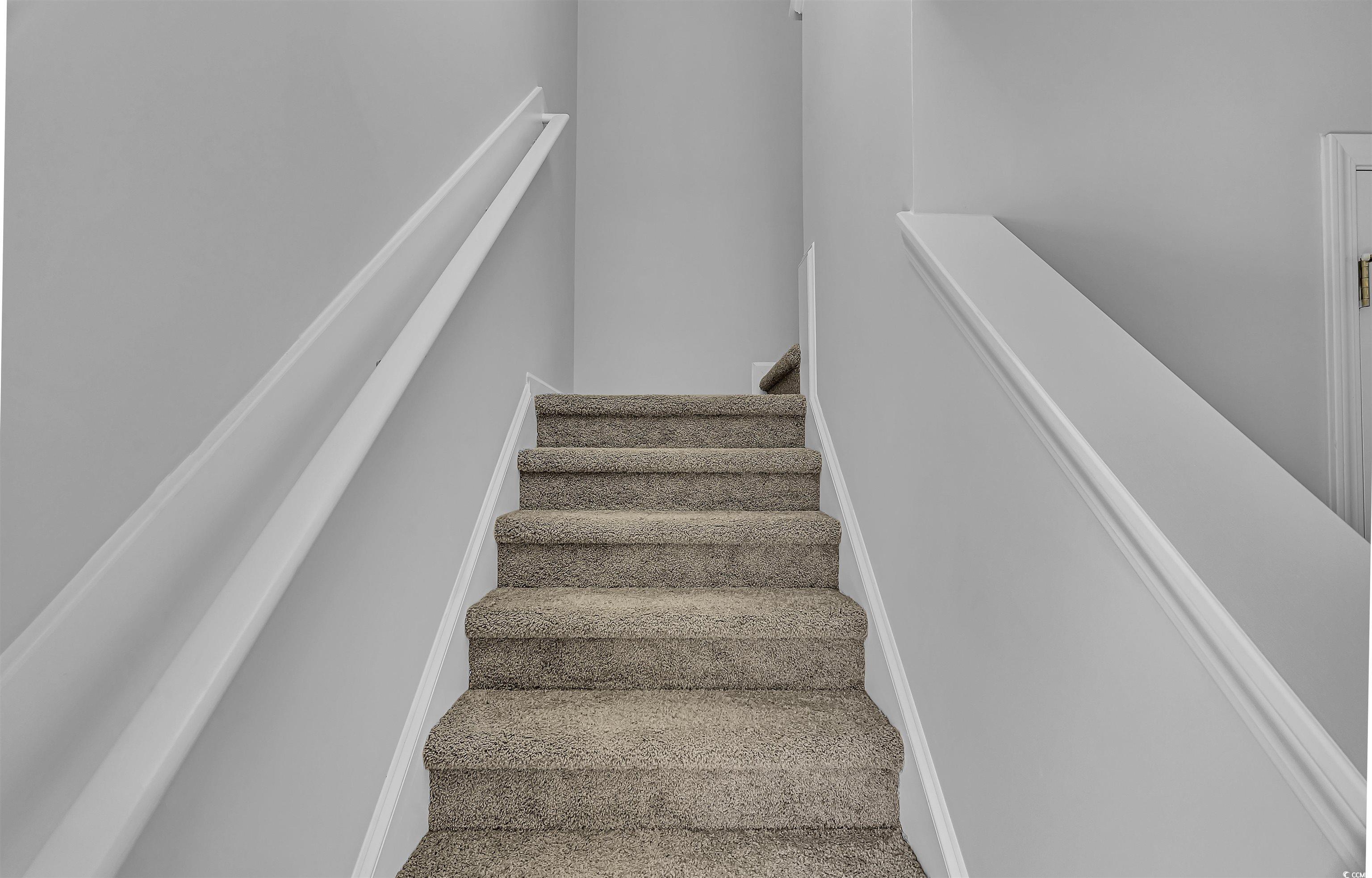 Photo #13