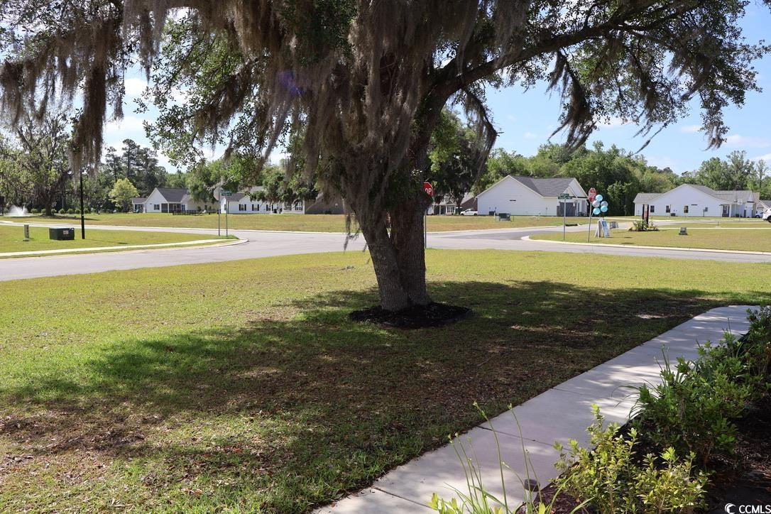 Photo #33