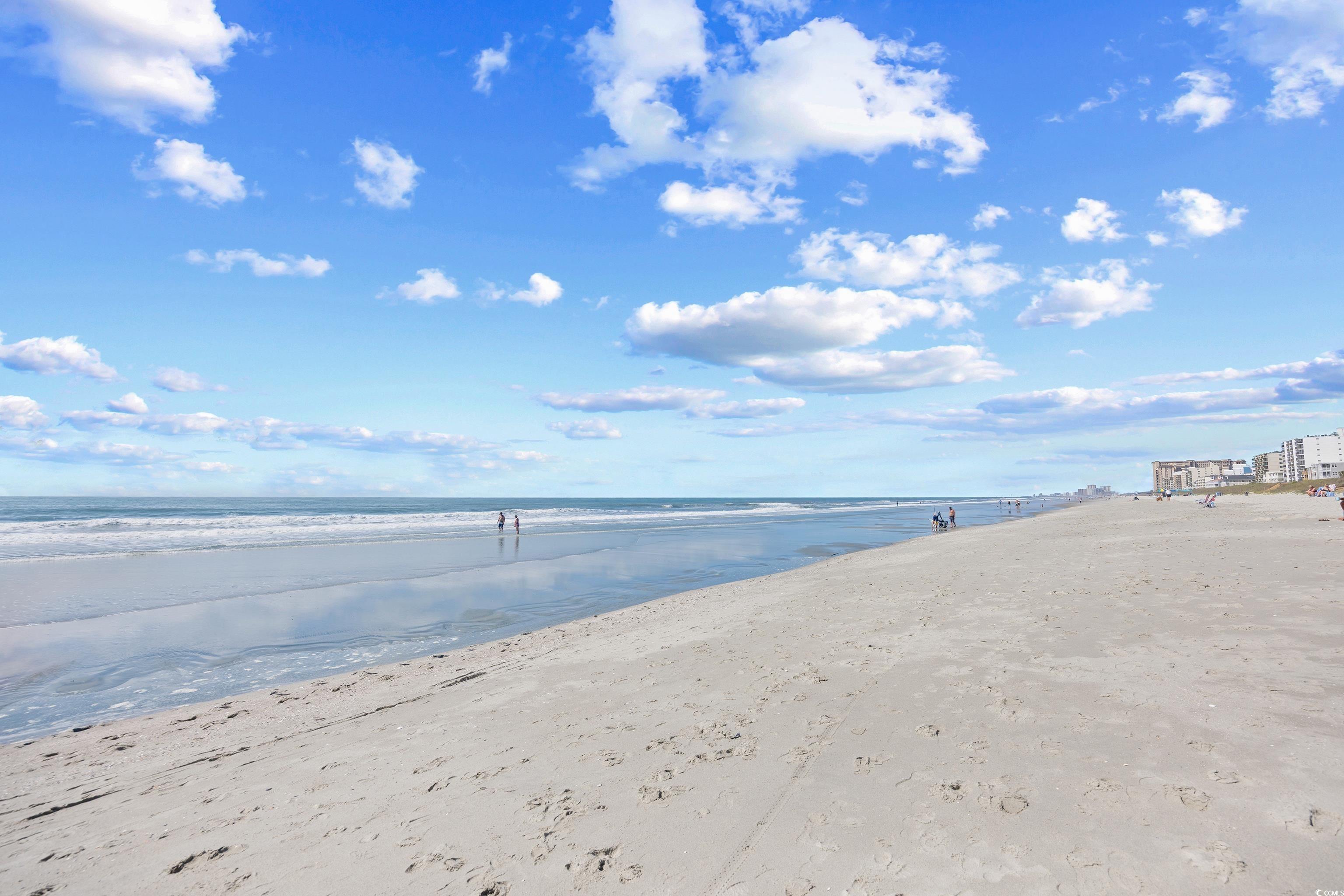 Photo #39