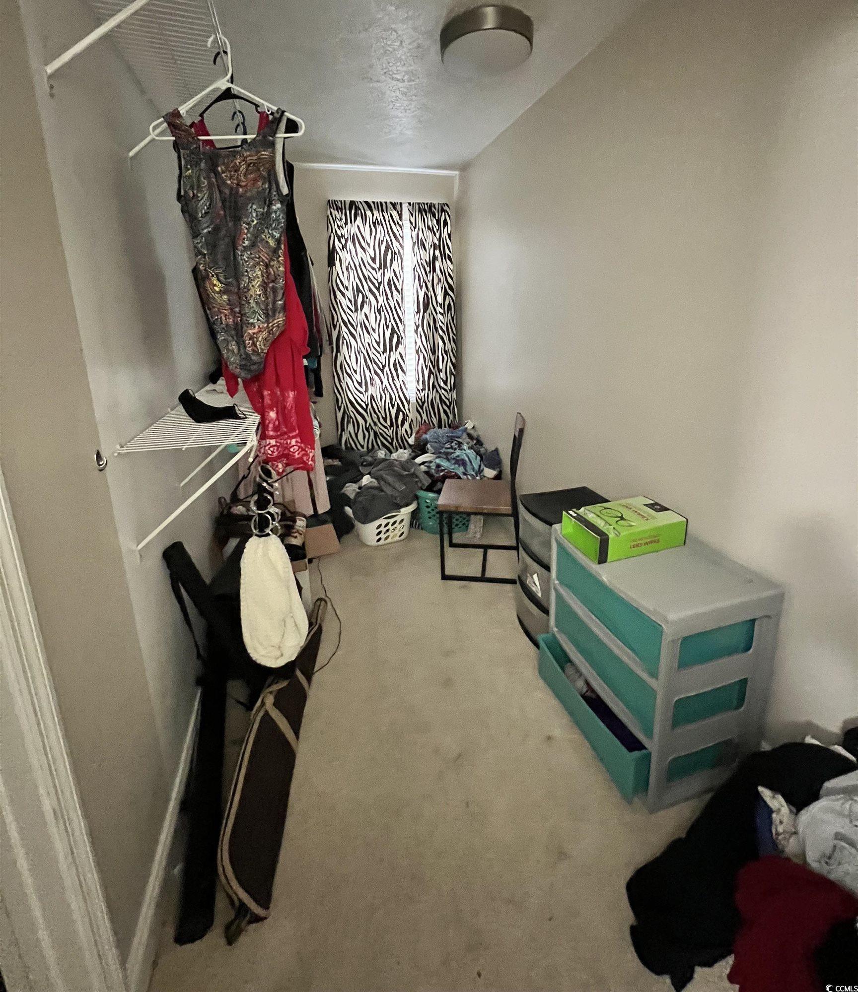 Photo #15
