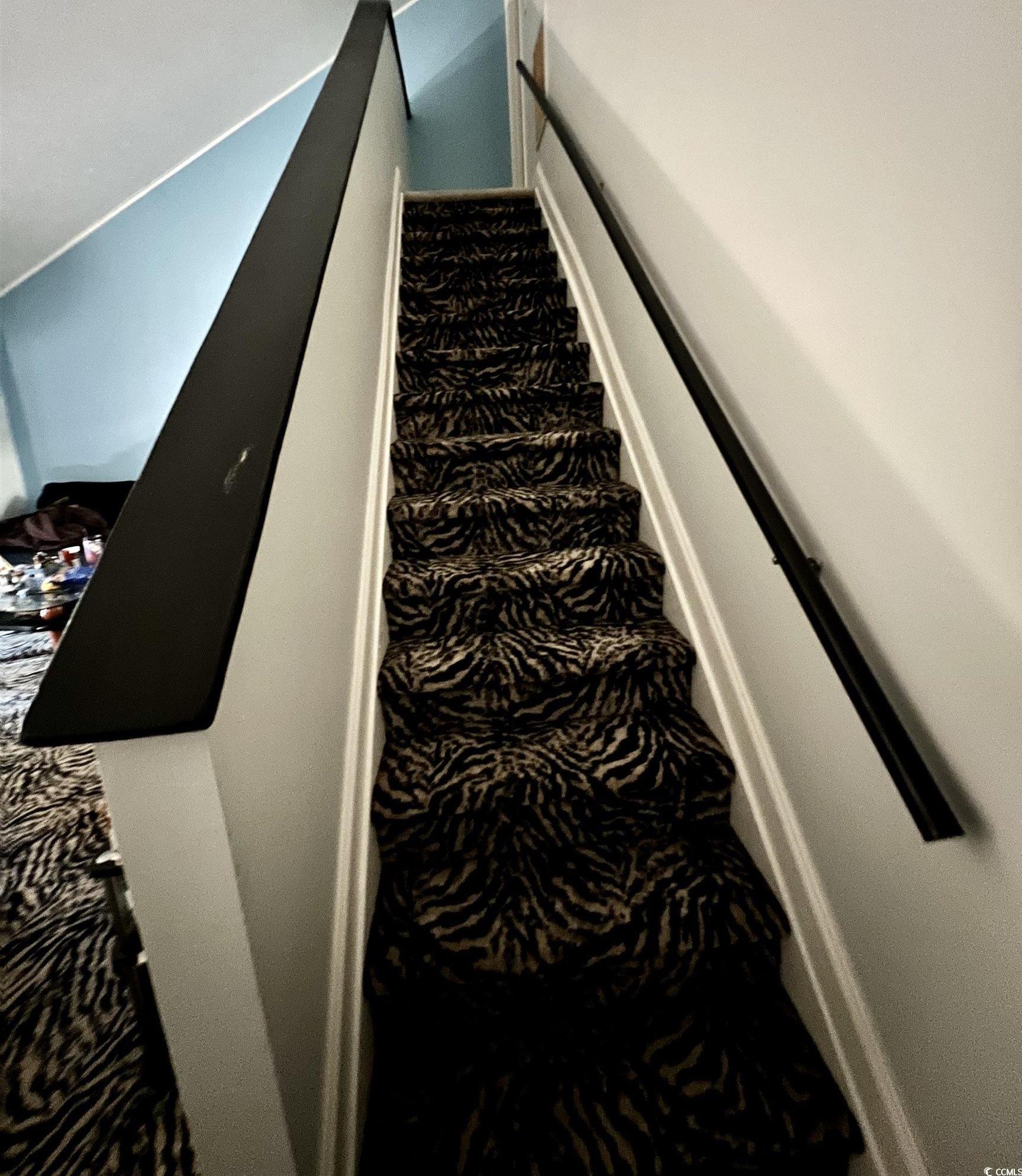 Photo #10