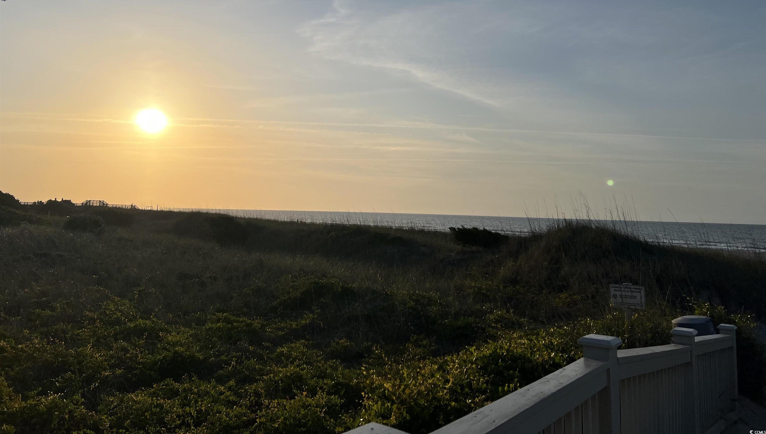 Photo #37