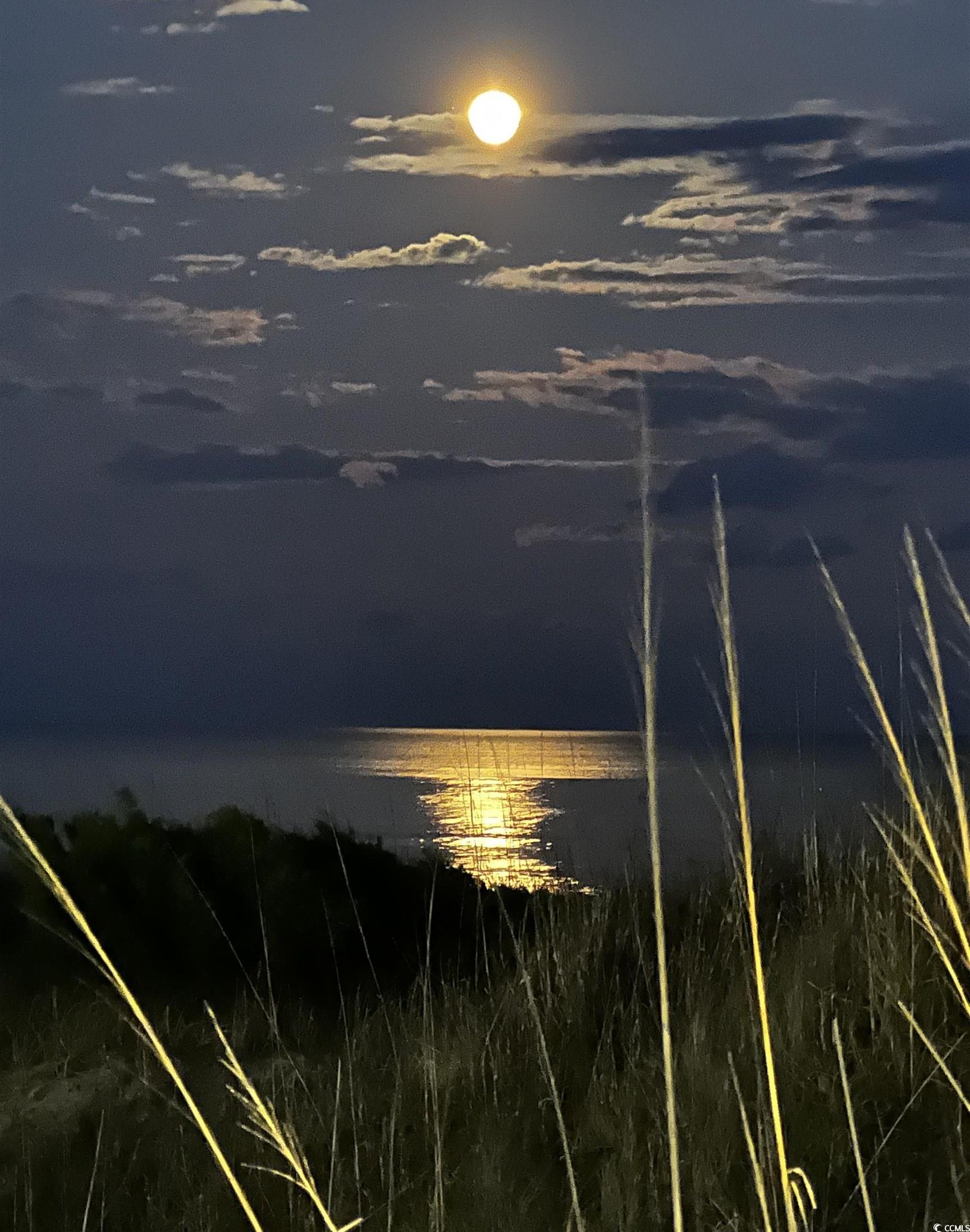 Photo #38