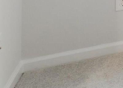 Photo #16