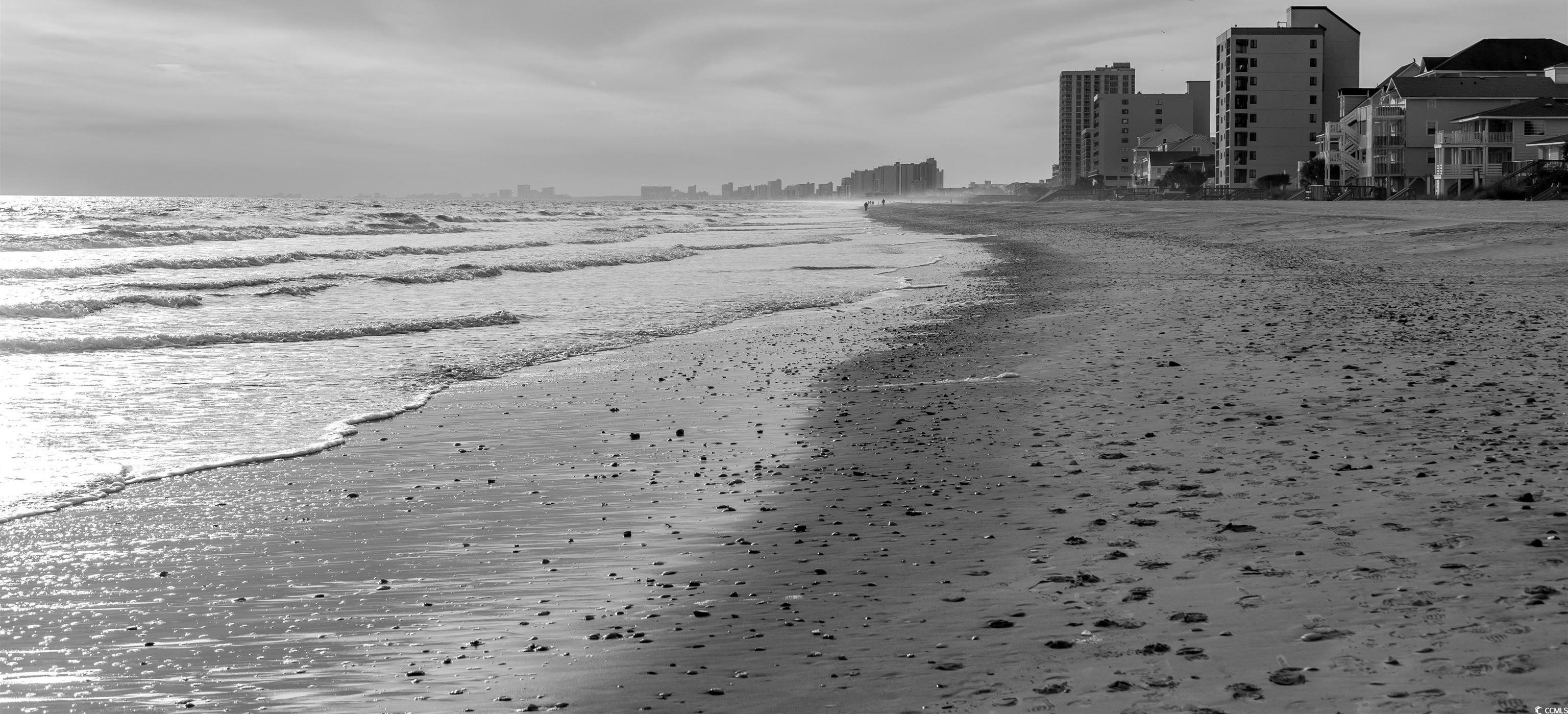 Photo #24