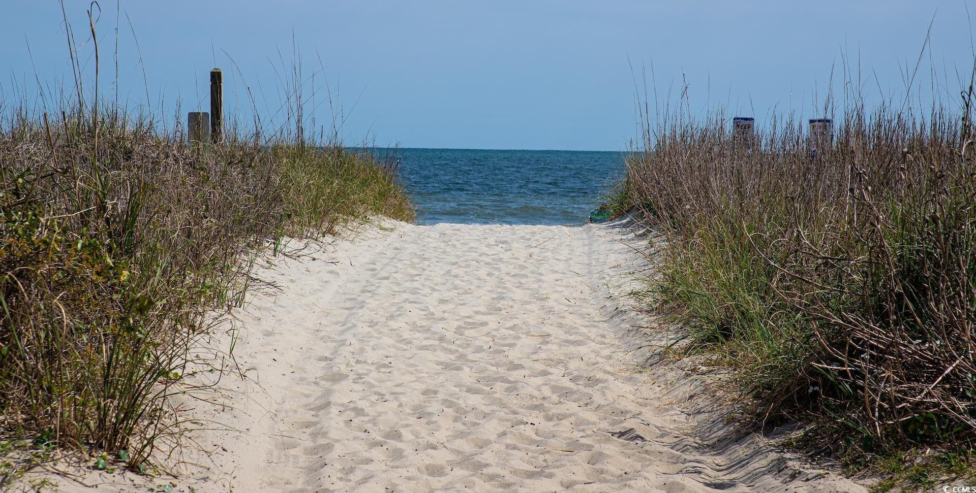 Photo #26