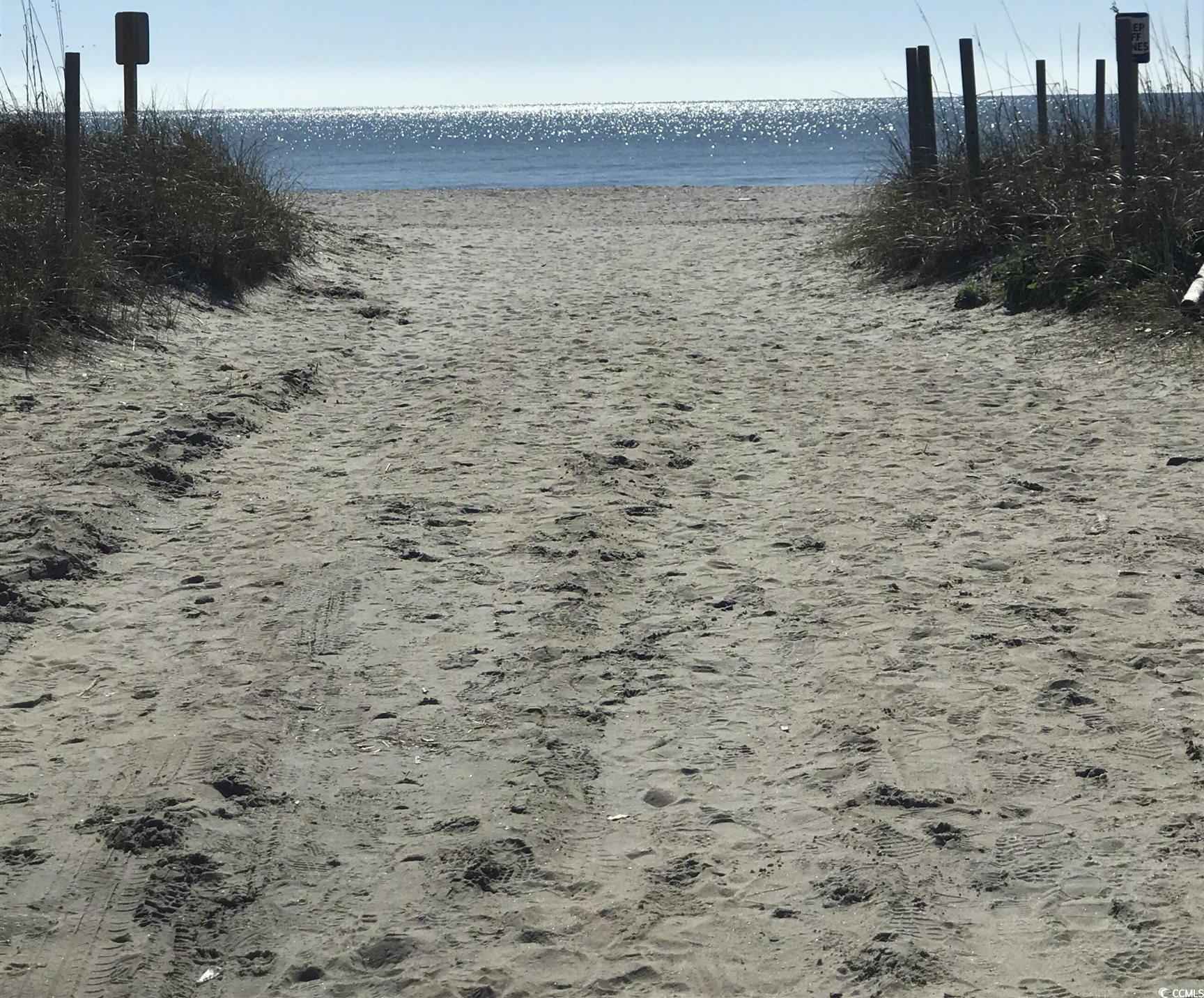 Photo #37