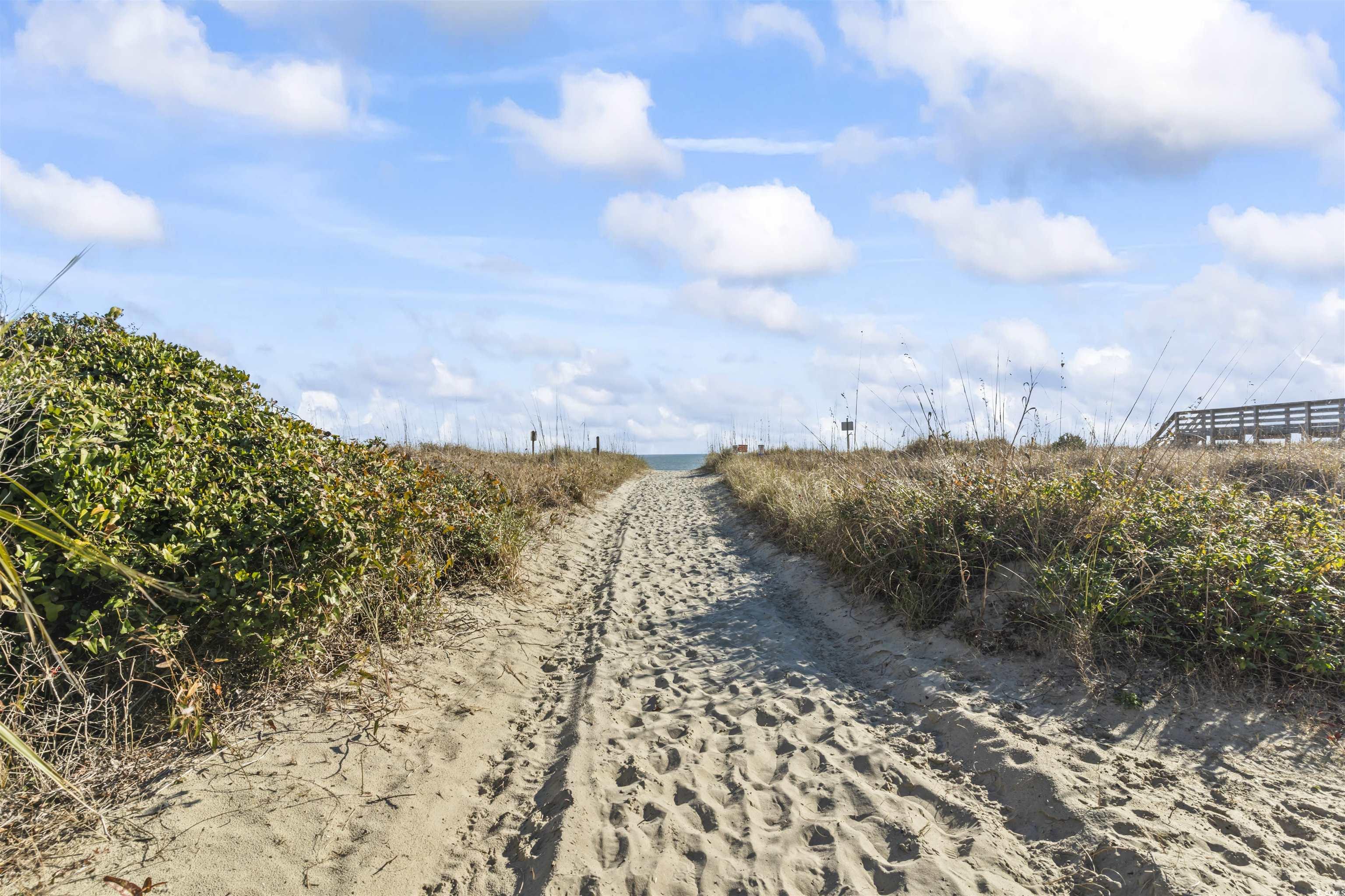 Photo #13
