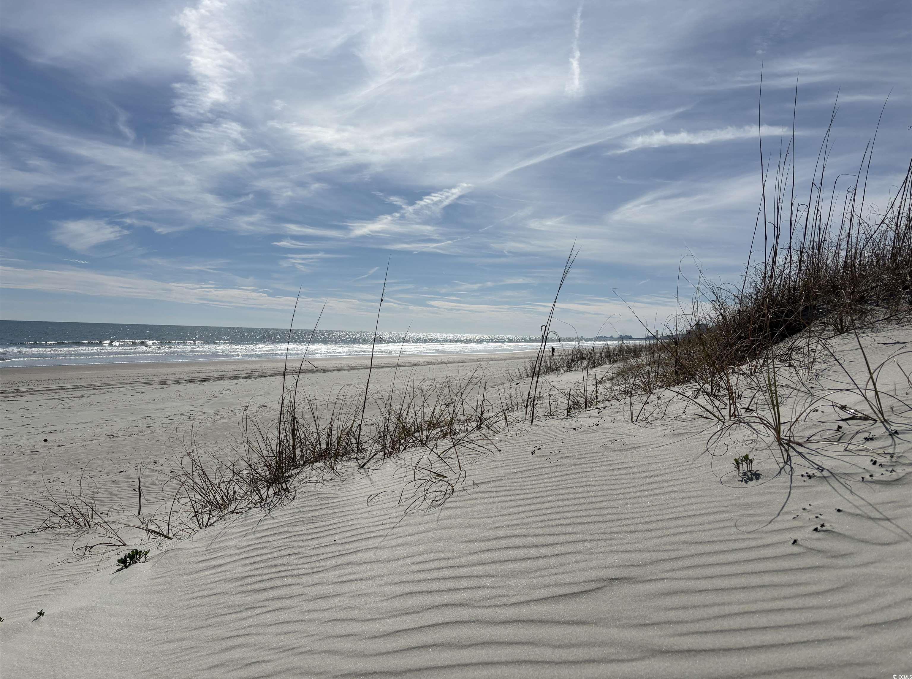 Photo #23