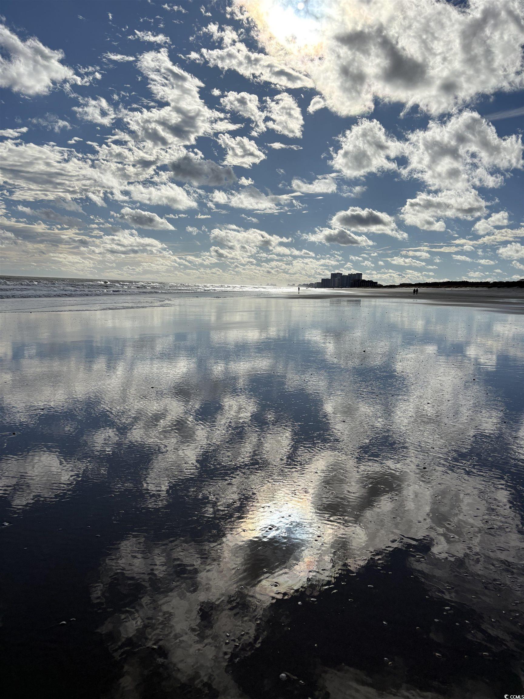 Photo #24