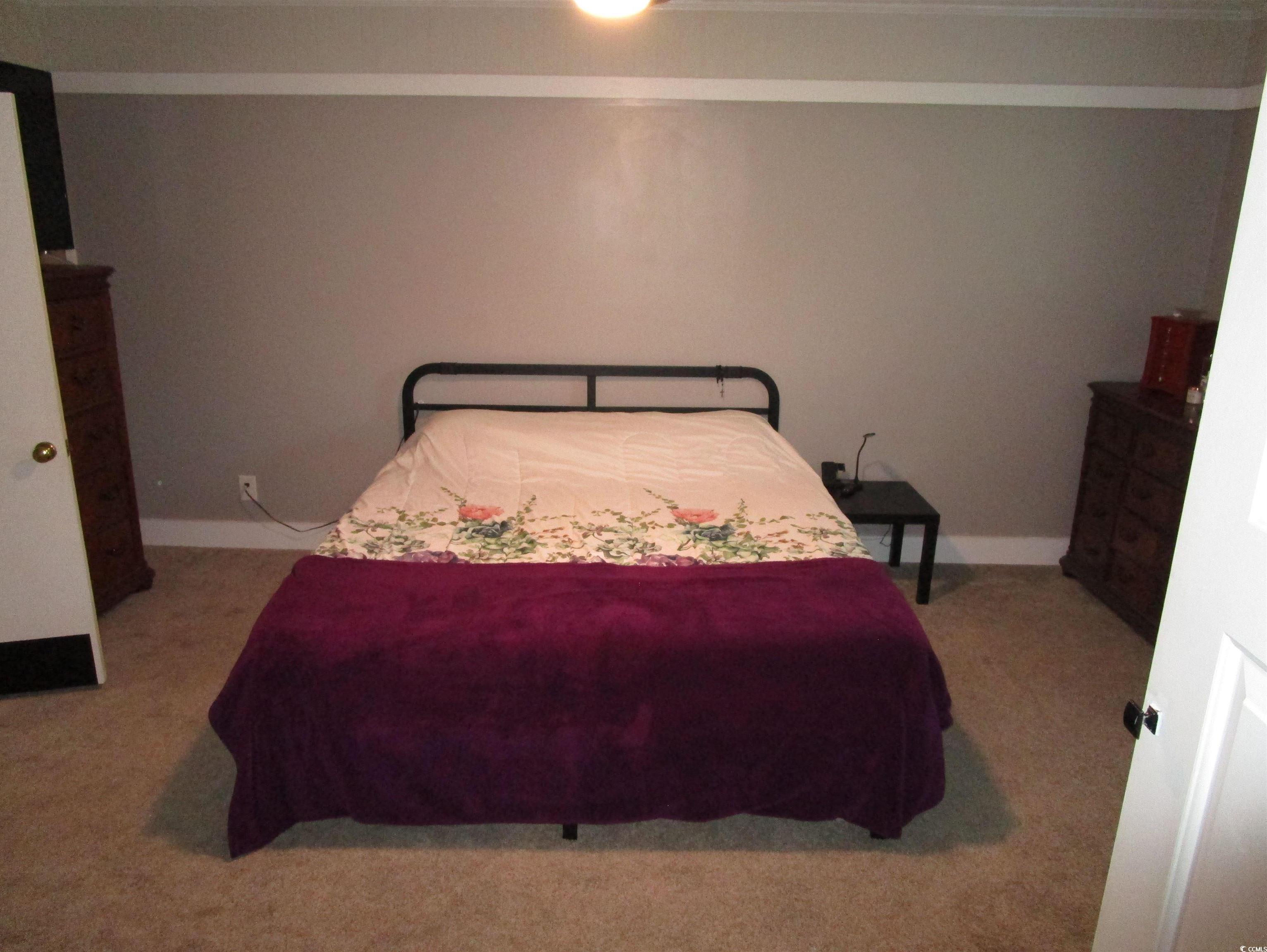 Photo #19