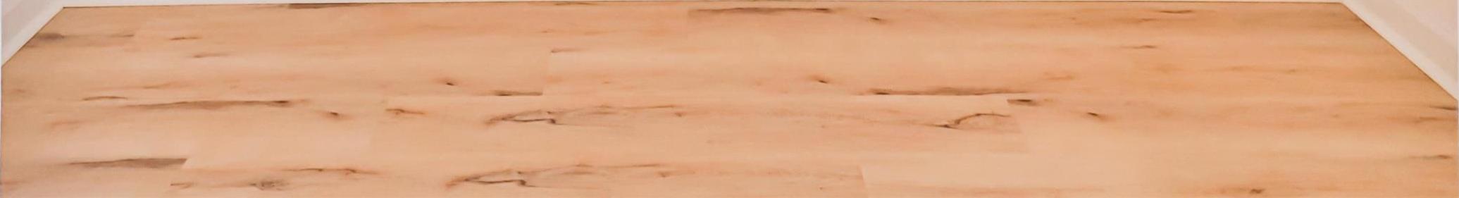 Photo #14