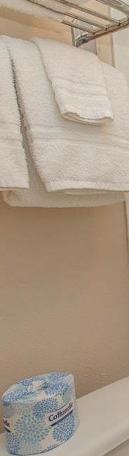 Photo #10