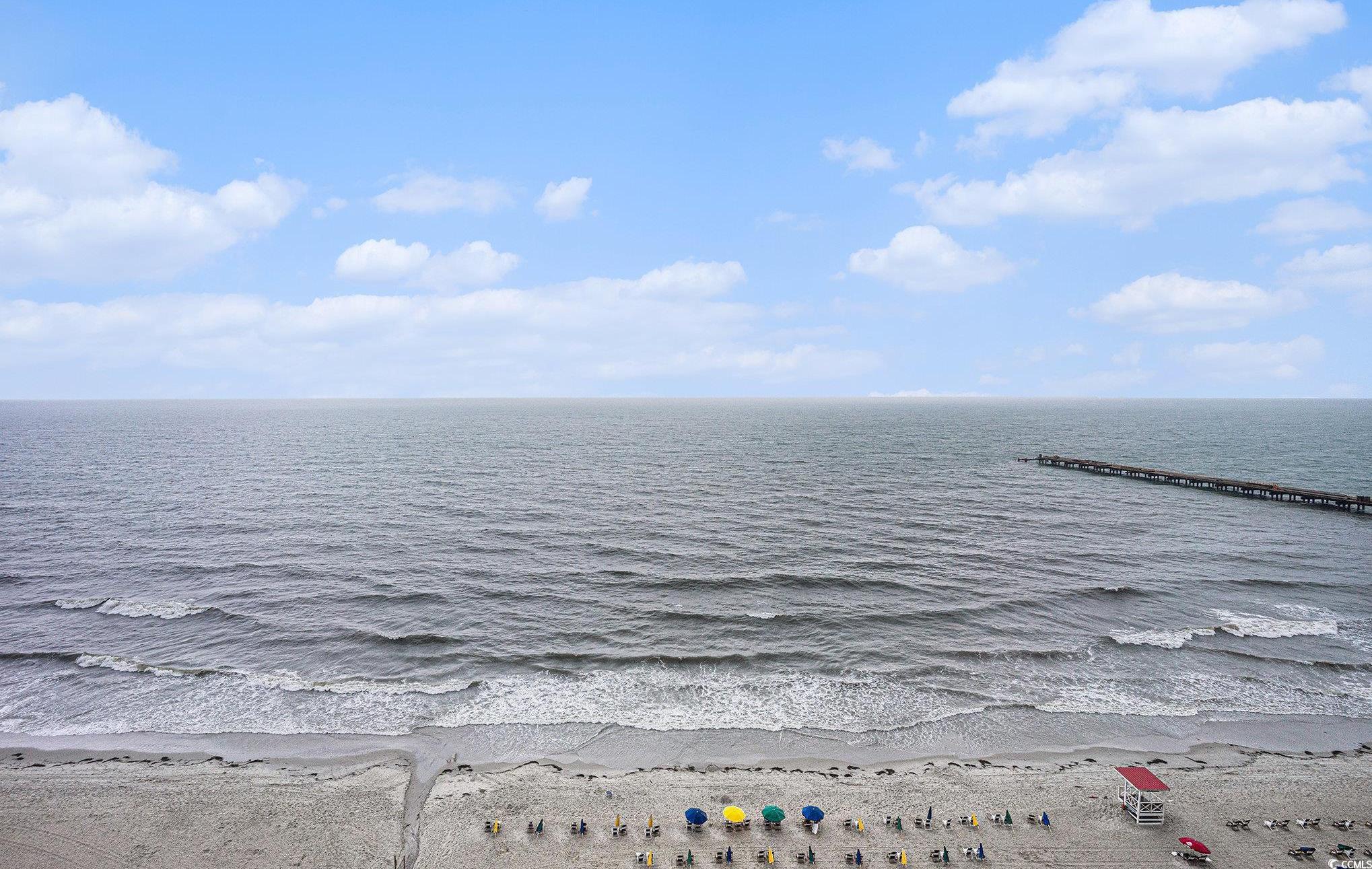 Photo #24