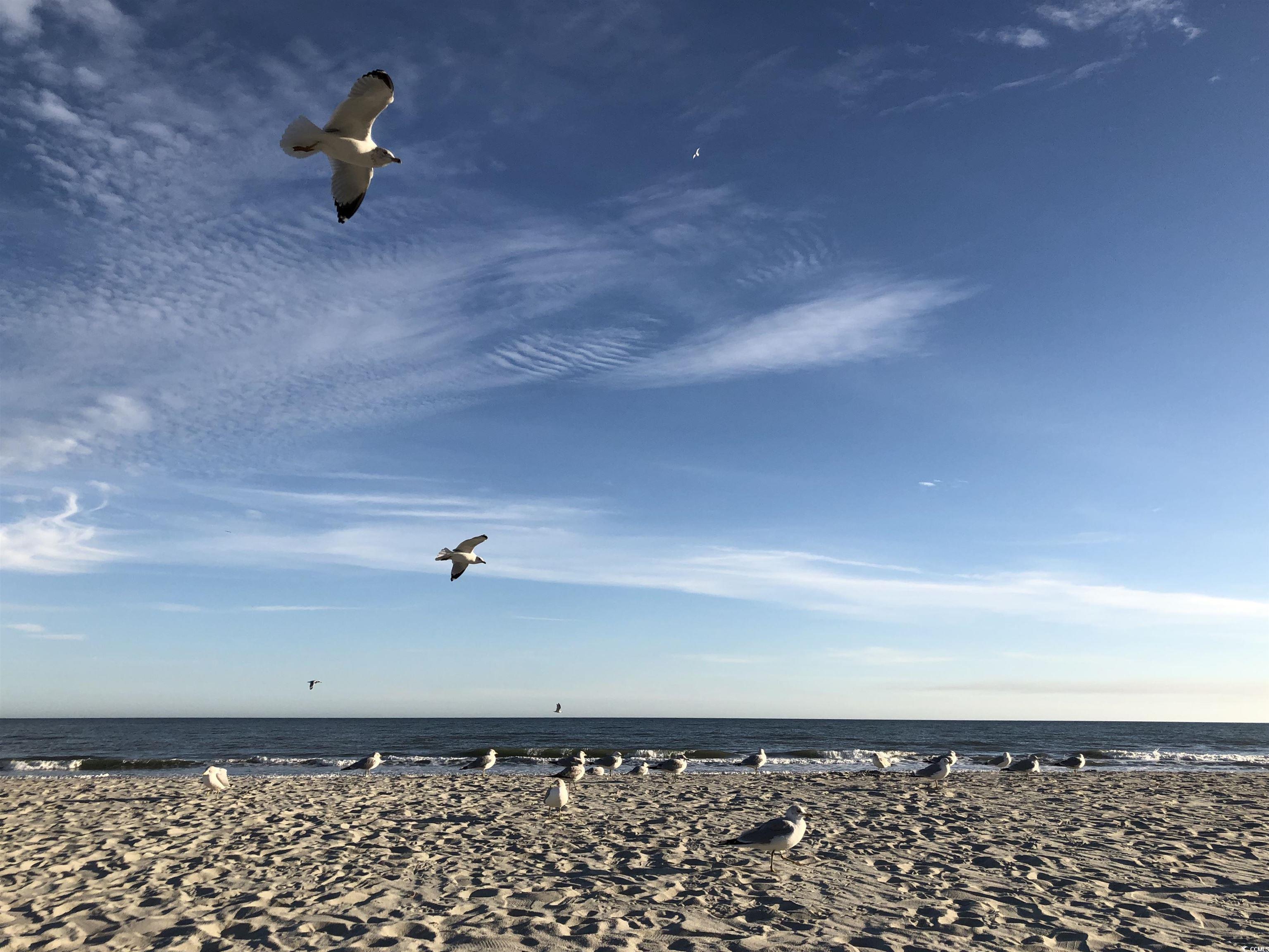 Photo #32