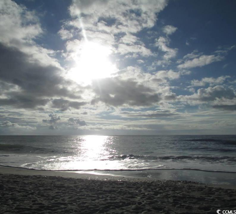 Photo #38