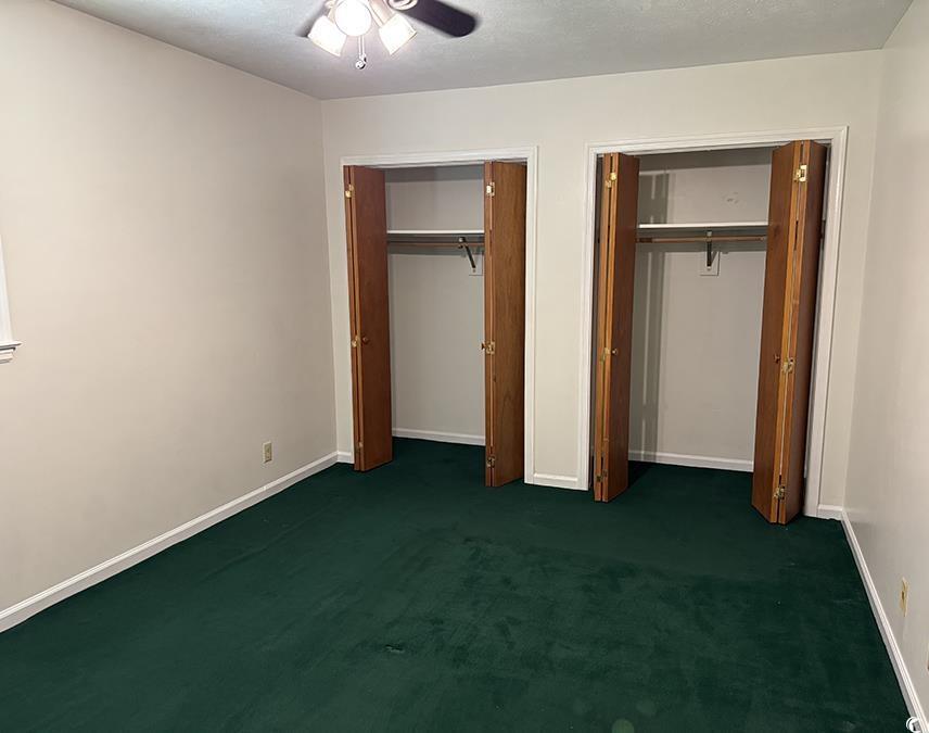 Photo #6