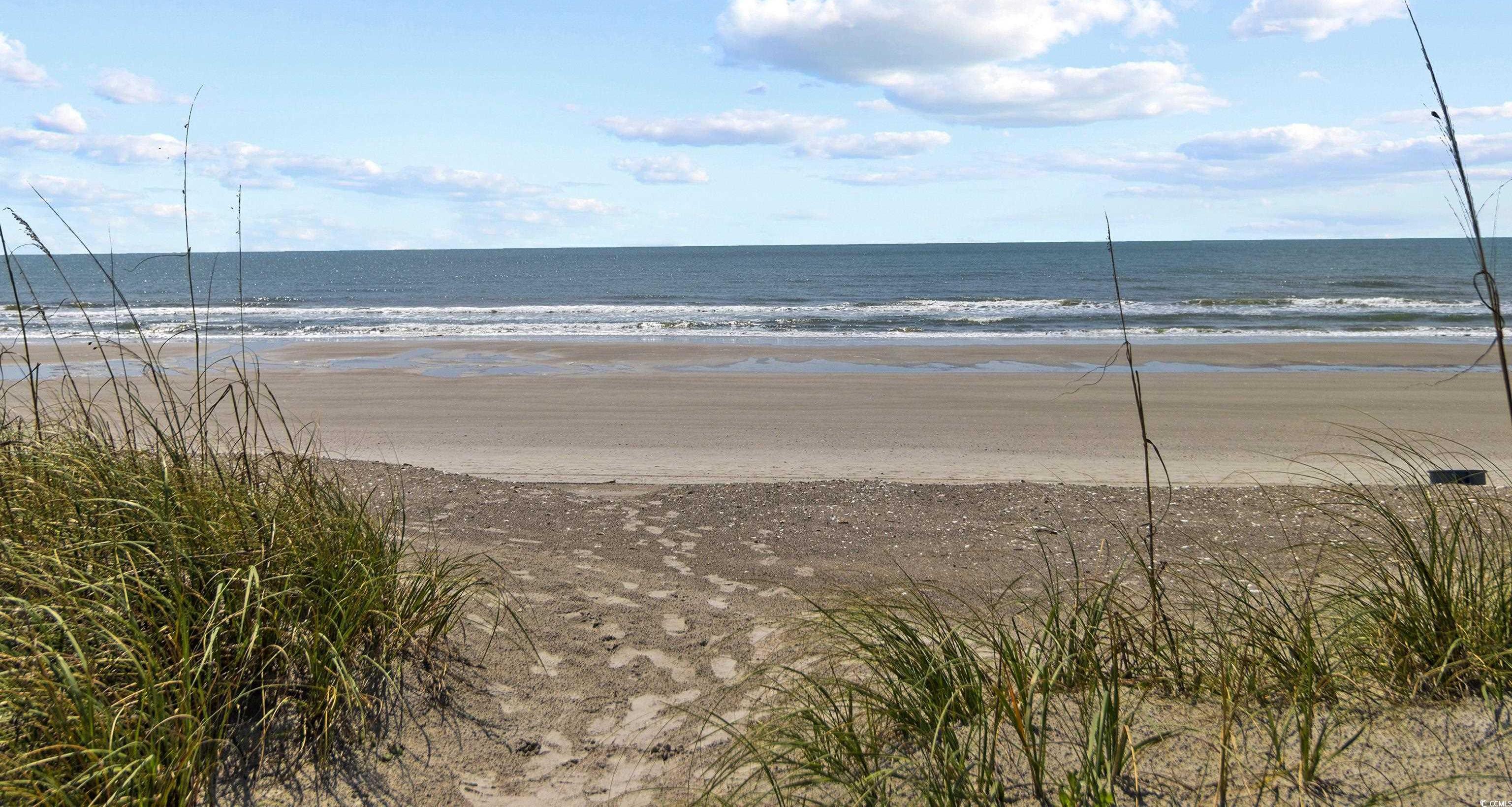 Photo #35