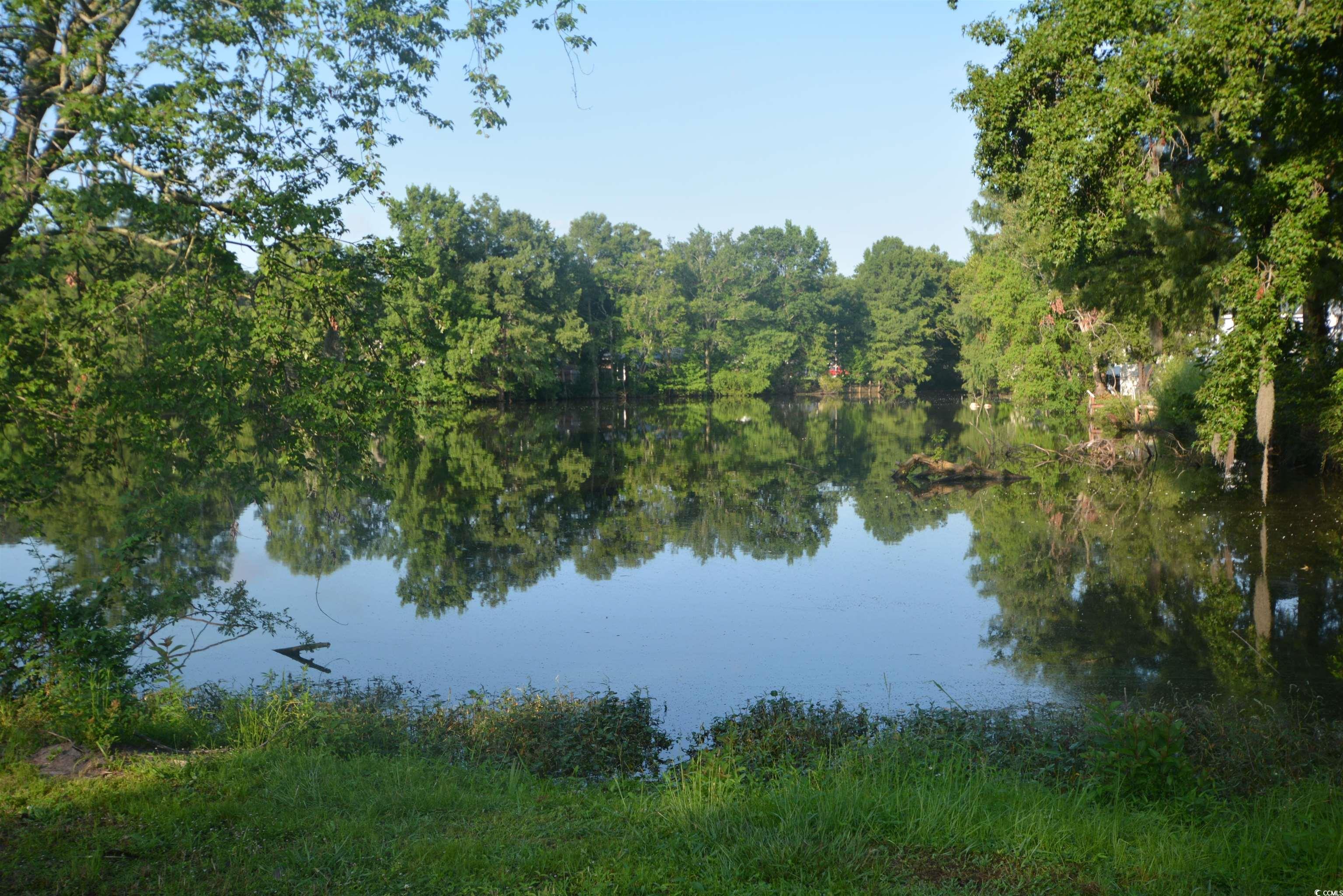 Photo #35