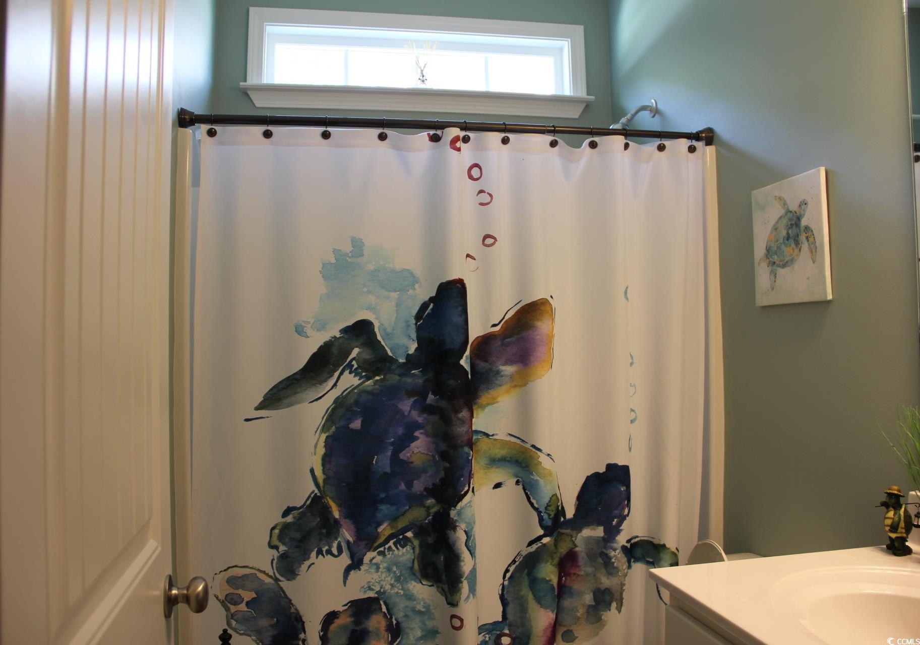 Photo #19