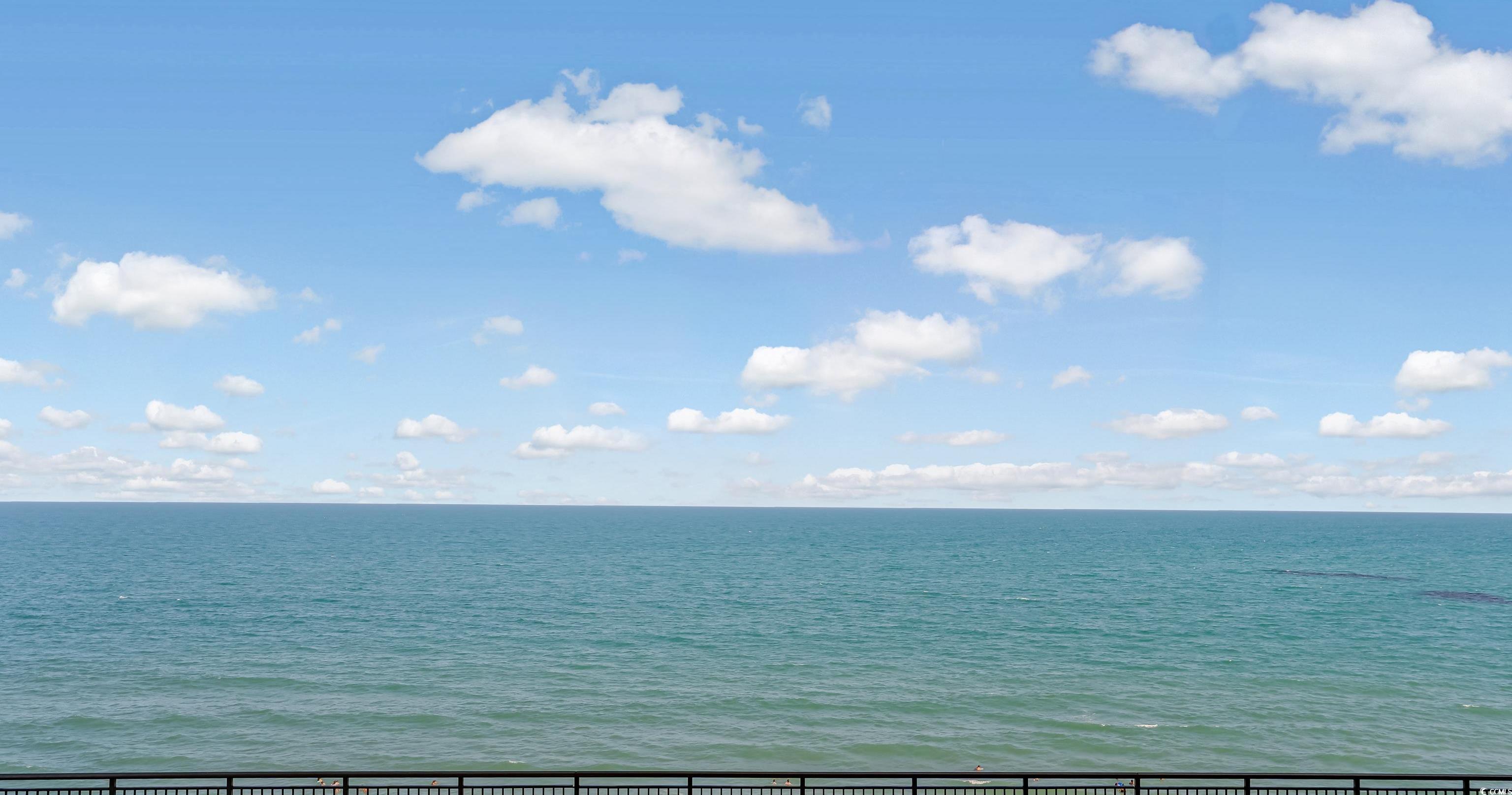 Photo #14