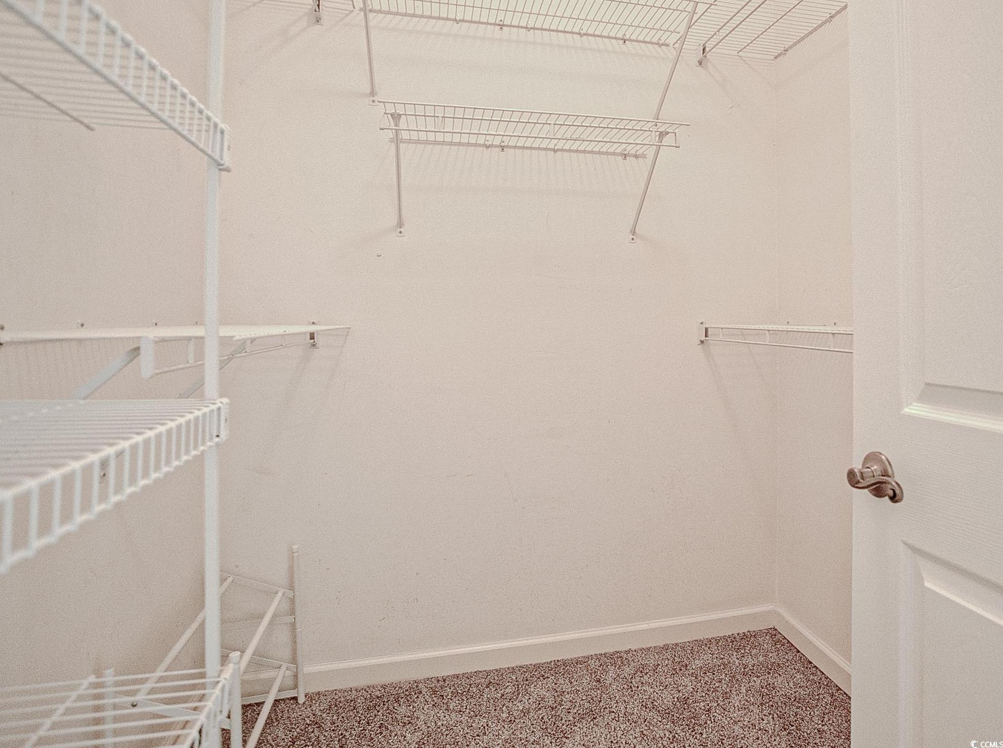 Photo #18