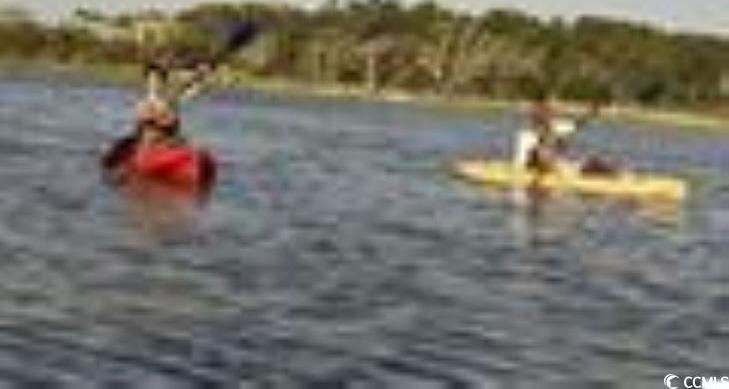 Photo #12