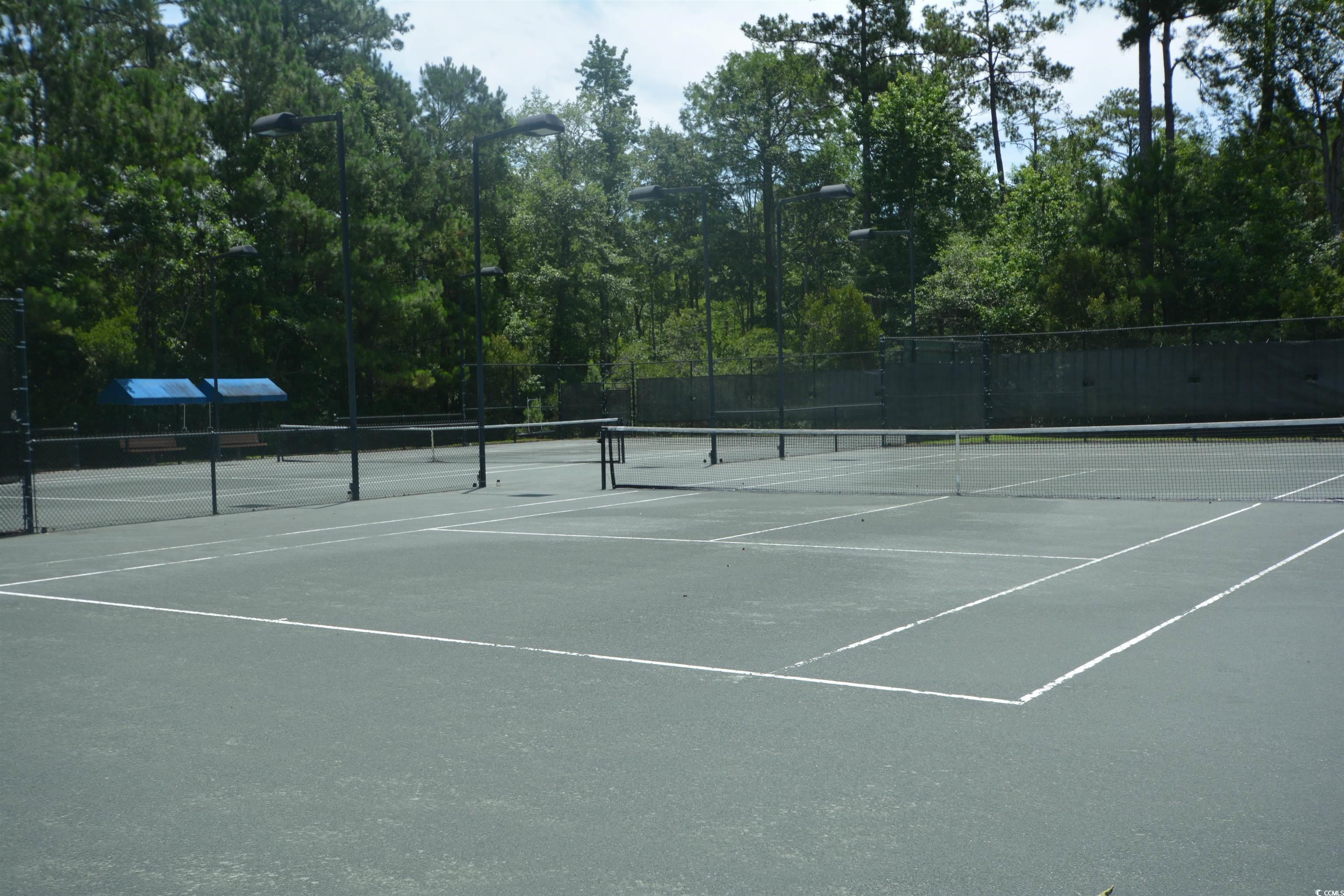 Photo #34