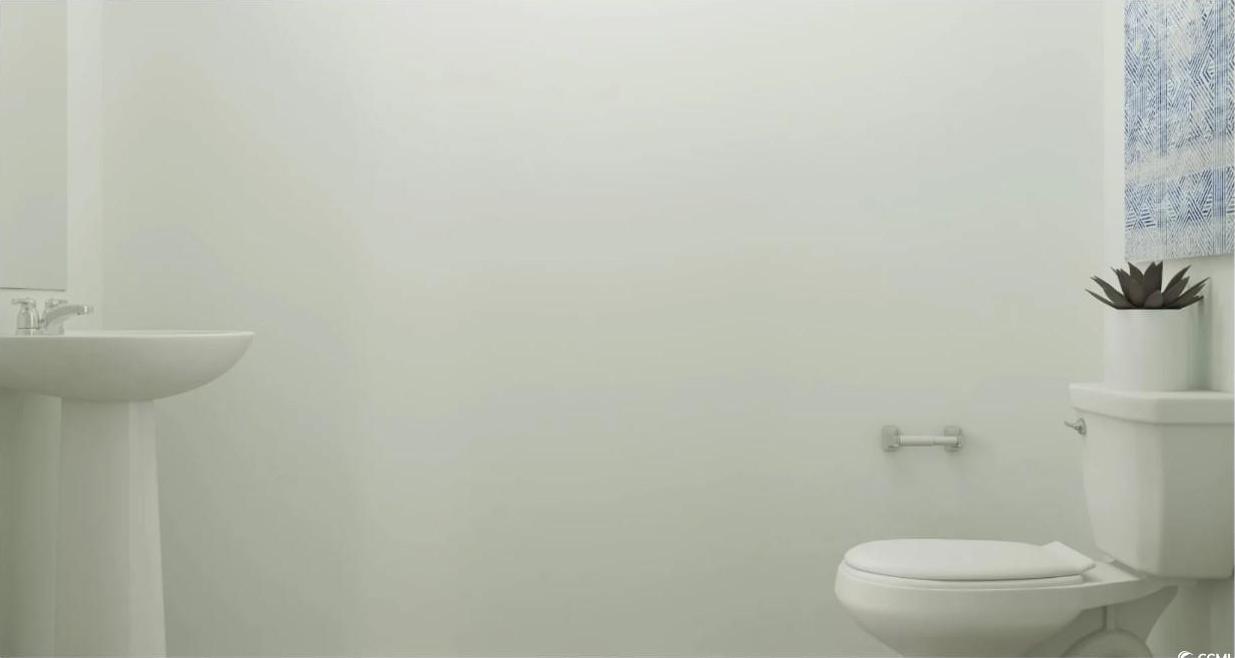 Photo #11