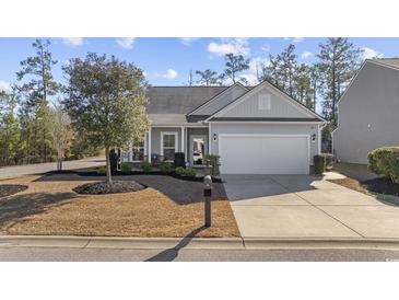 Gray house with white garage door, landscaping, and mailbox at 301 Climbing Vine Ct., Conway, SC 29526